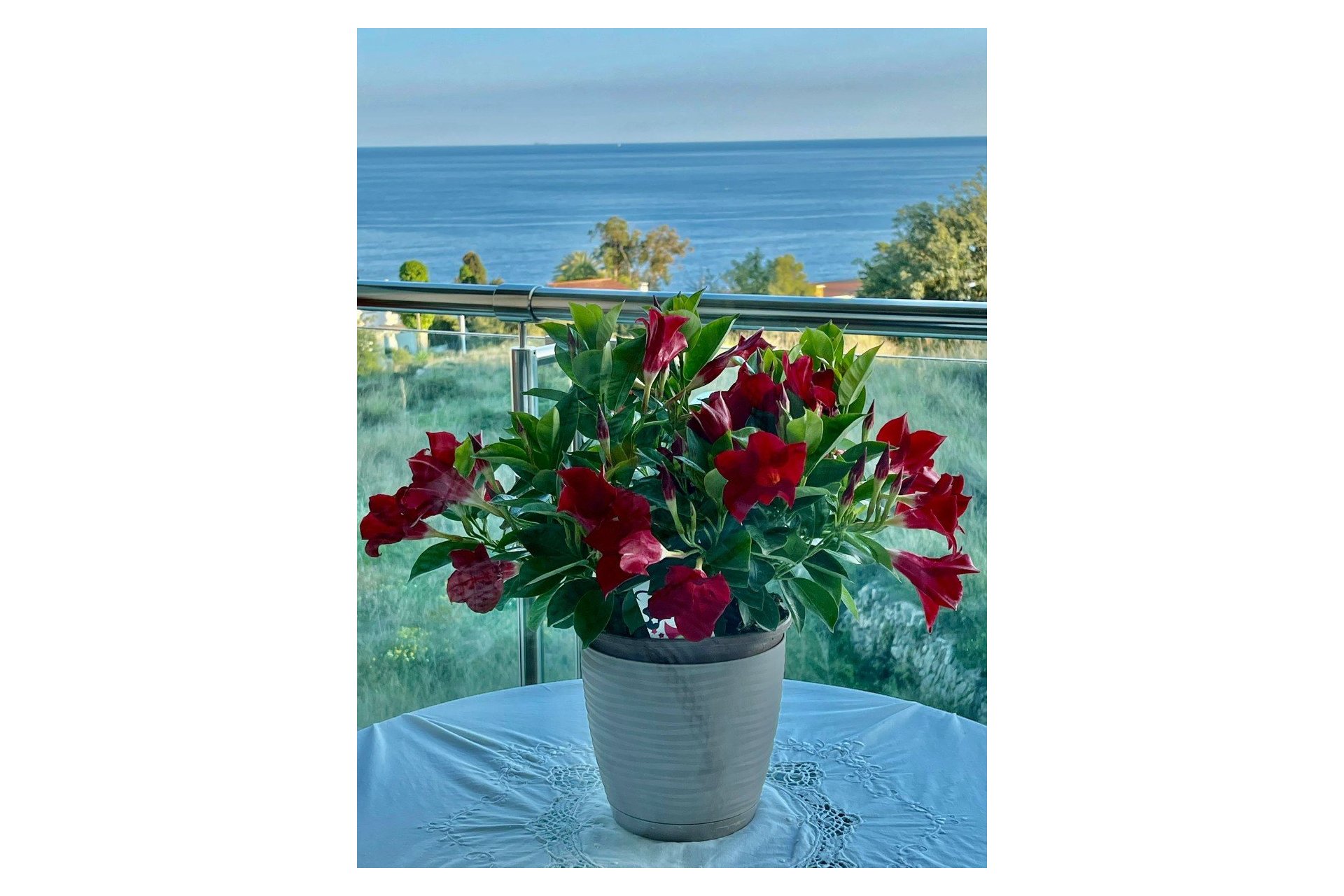 Resale - Apartment / flat - Calpe