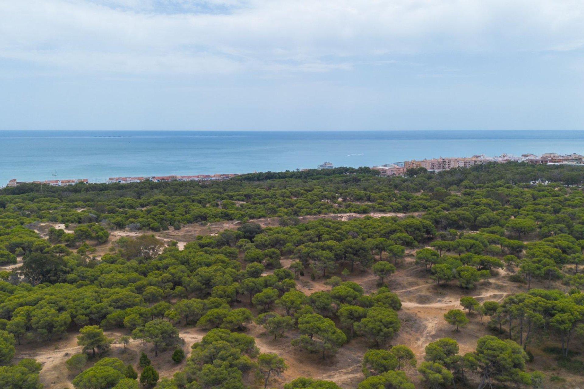 Resale - Apartment / flat - Guardamar del Segura - Centro