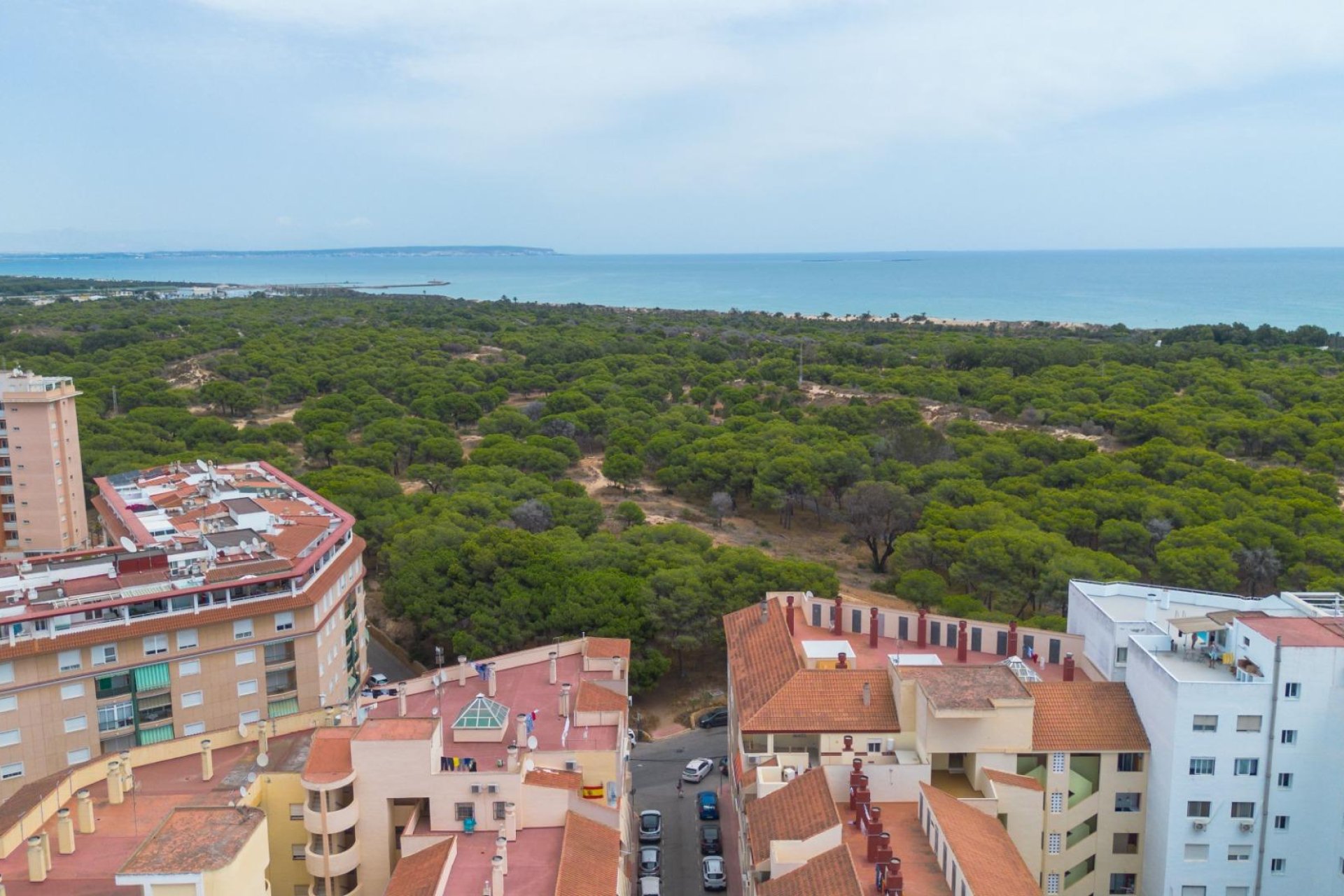 Resale - Apartment / flat - Guardamar del Segura - Centro