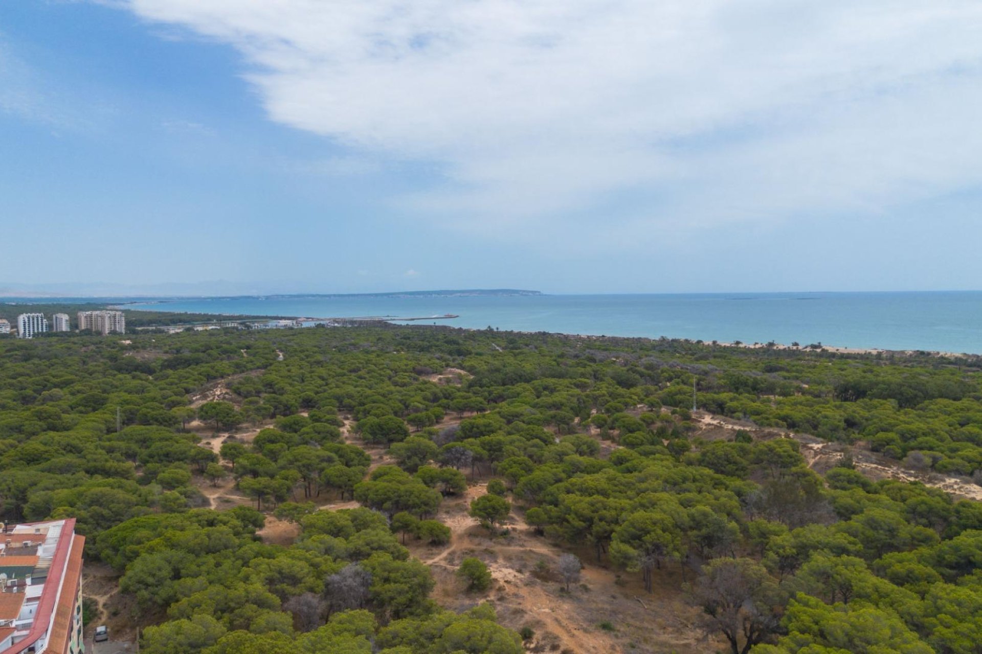 Resale - Apartment / flat - Guardamar del Segura - Centro