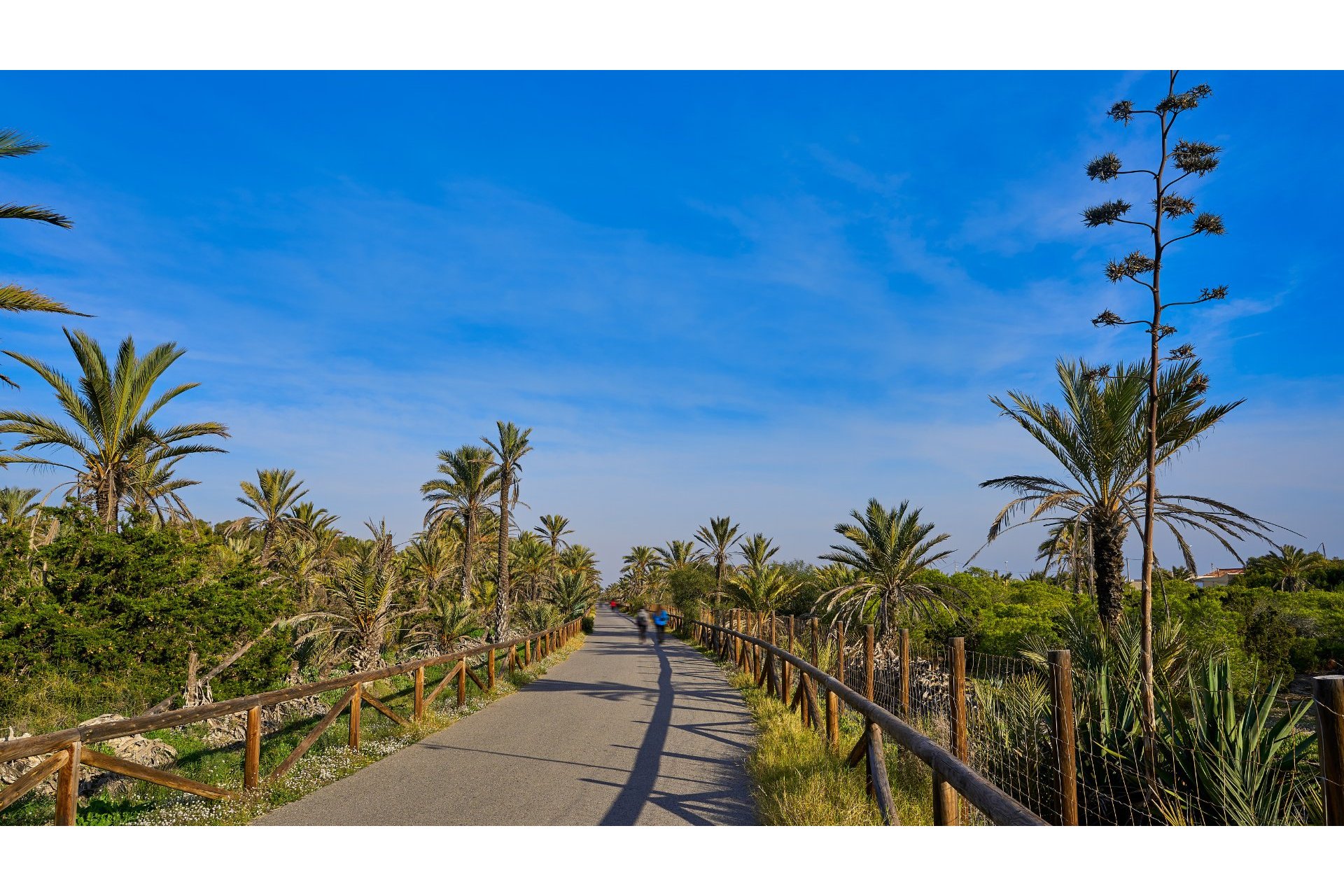 Resale - Apartment / flat - Guardamar del Segura