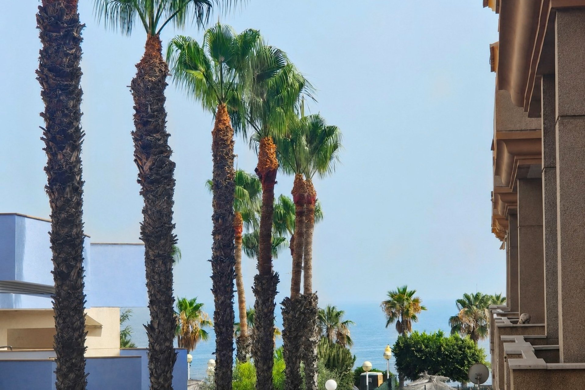 Resale - Apartment / flat - Orihuela Costa - Aguamarina