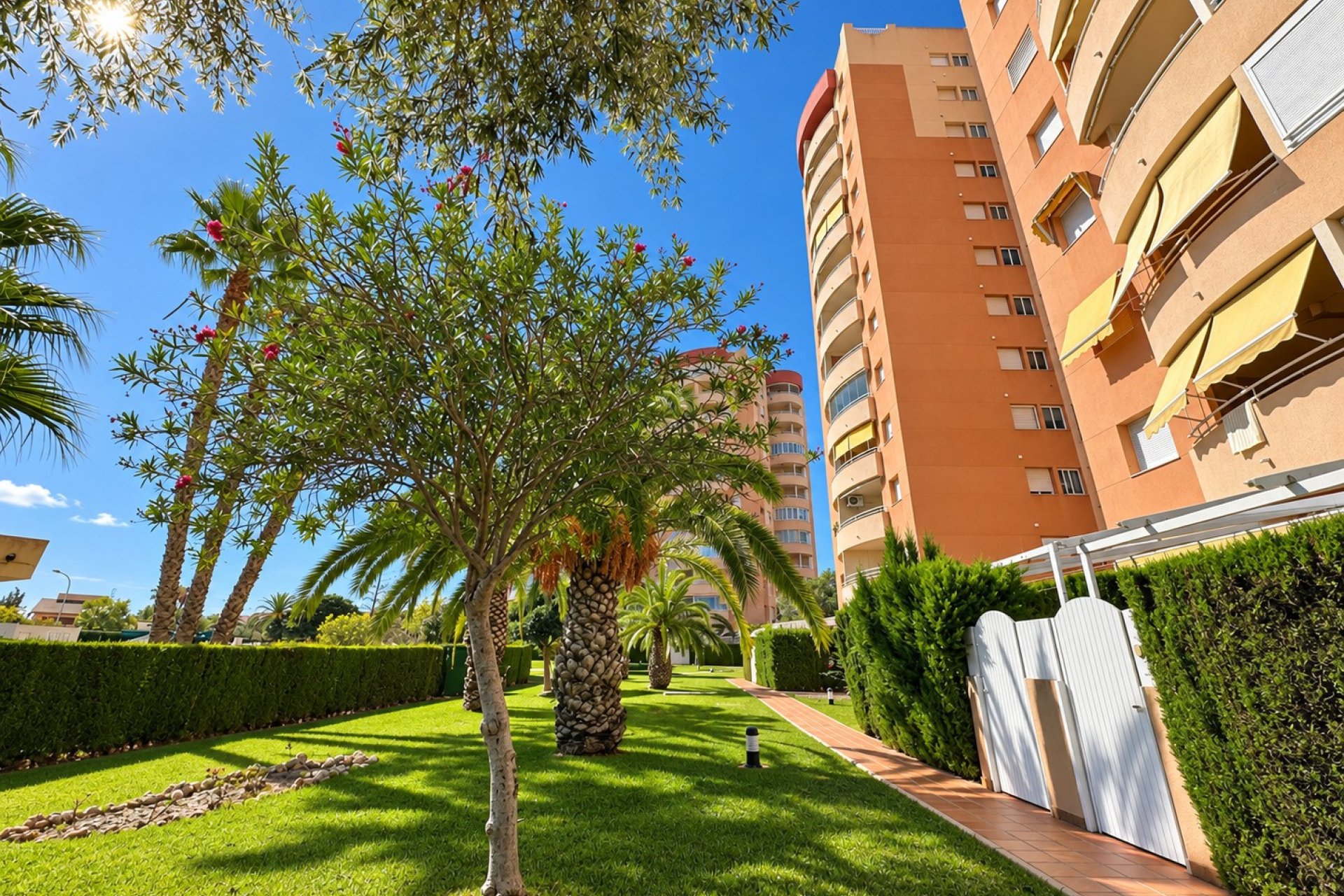 Resale - Apartment / flat - Orihuela Costa - Campoamor
