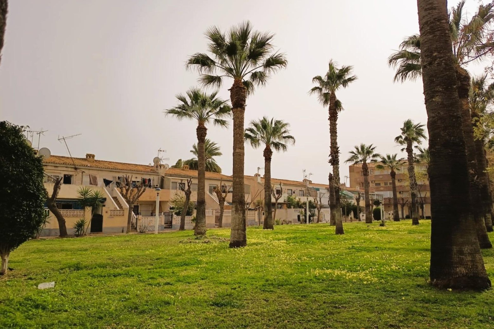 Resale - Apartment / flat - Orihuela Costa - La Regia