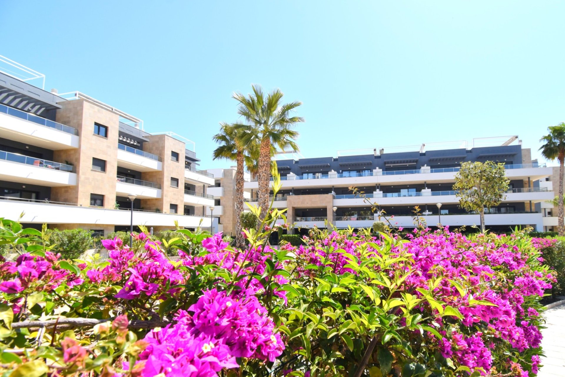 Resale - Apartment / flat - Orihuela Costa - Playa Flamenca