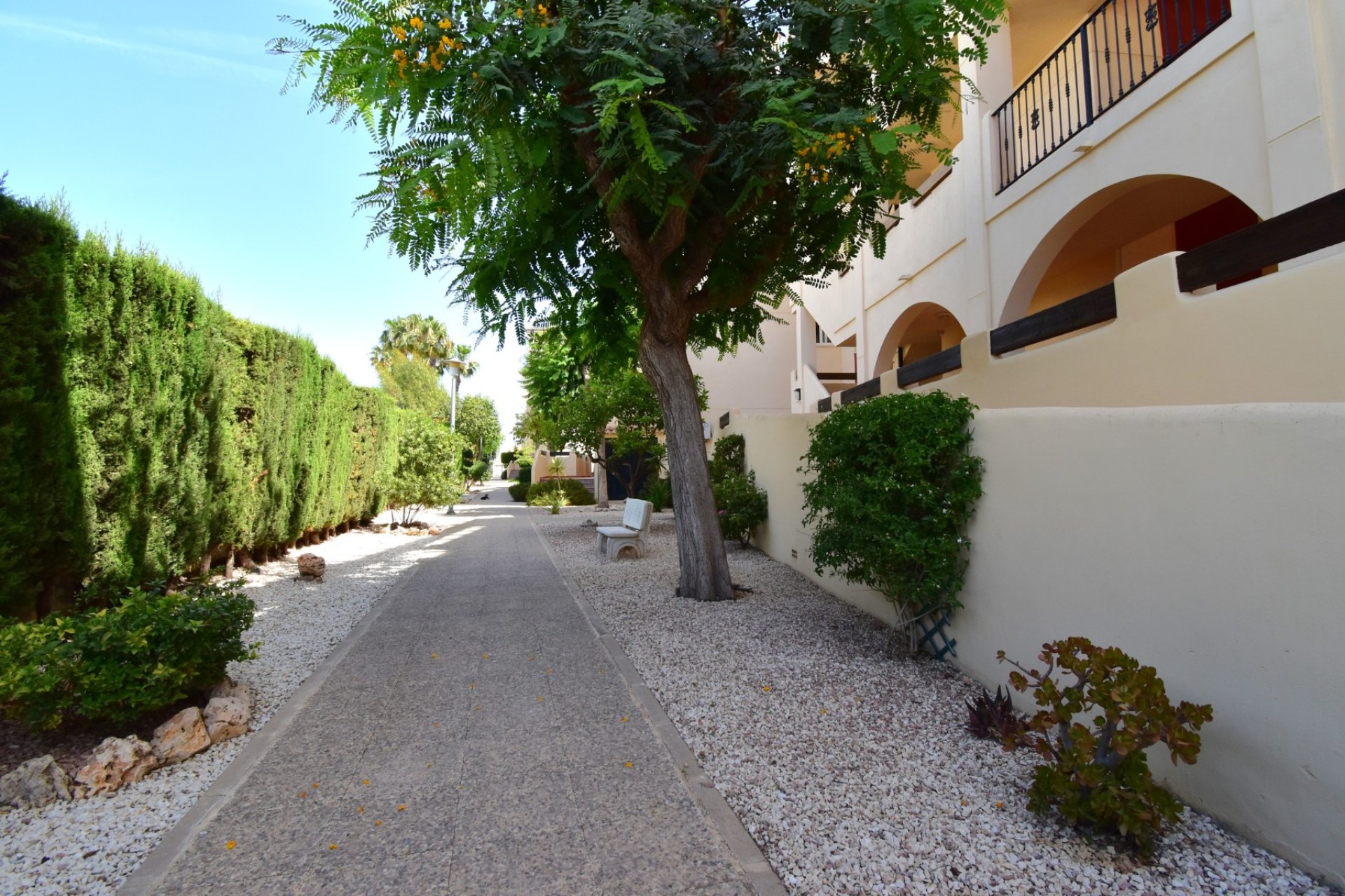 Resale - Apartment / flat - Orihuela Costa - Playa Flamenca