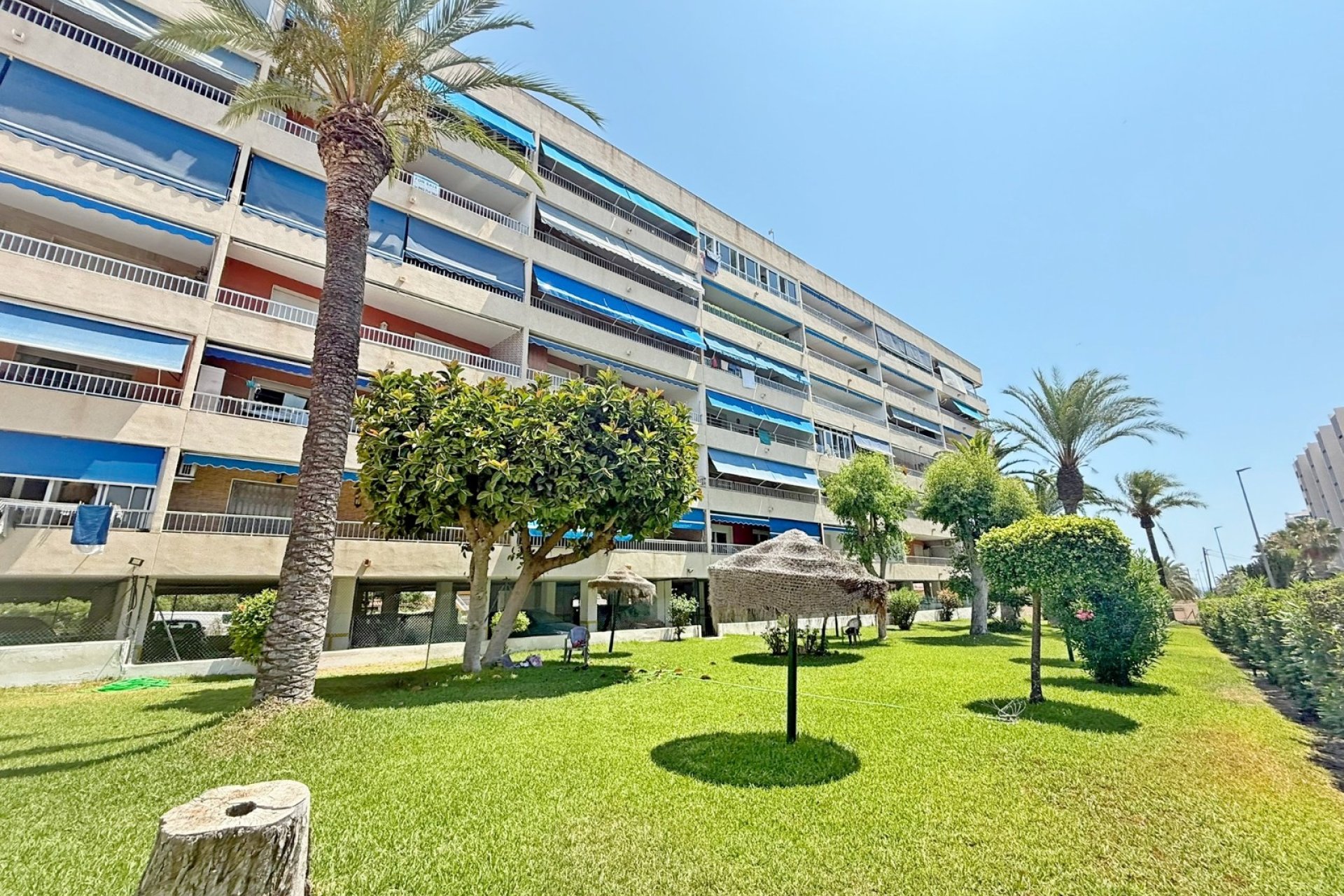Resale - Apartment / flat - Orihuela Costa - Punta Prima