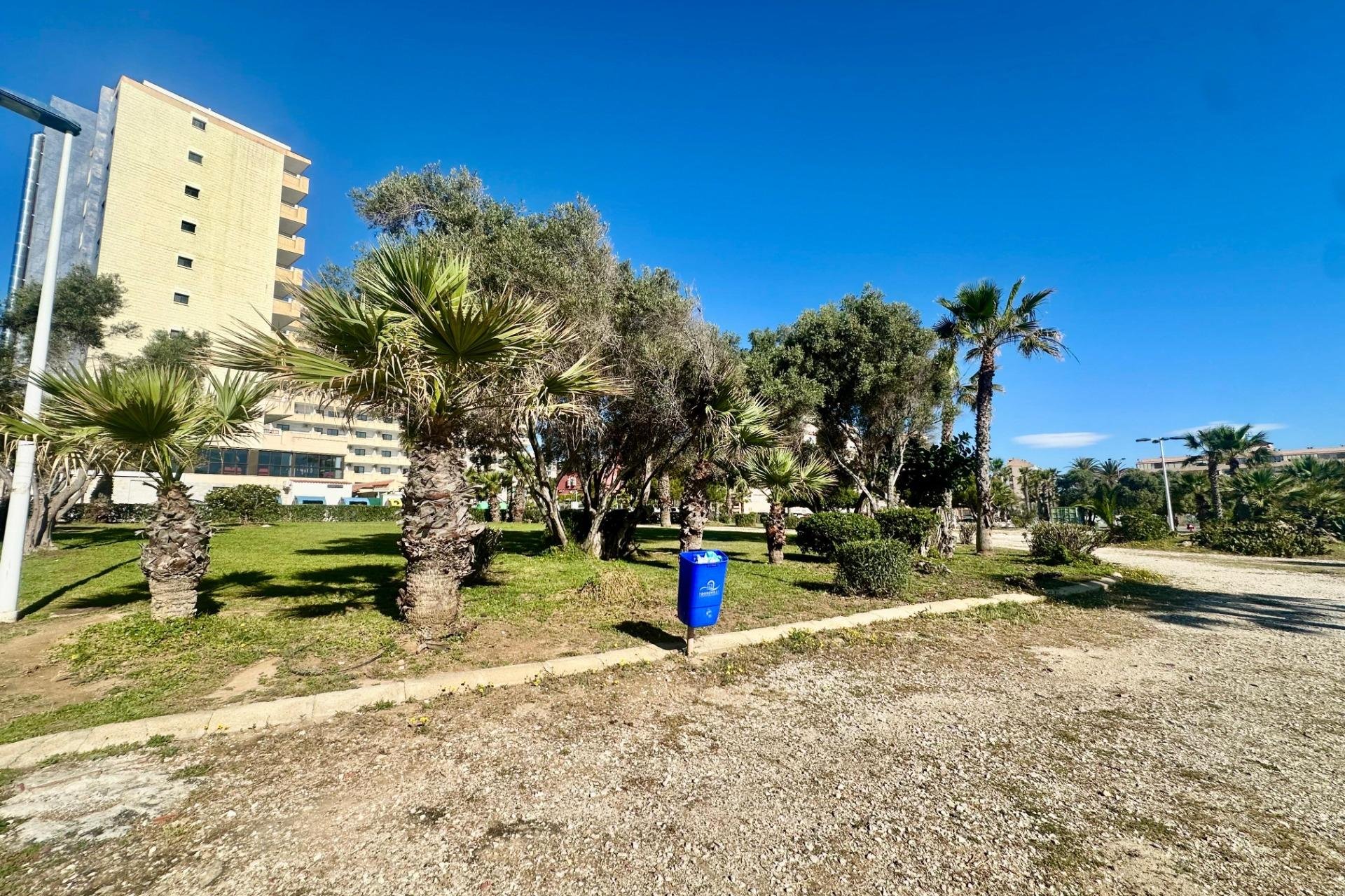 Resale - Apartment / flat - Torrevieja - Cabo Cervera