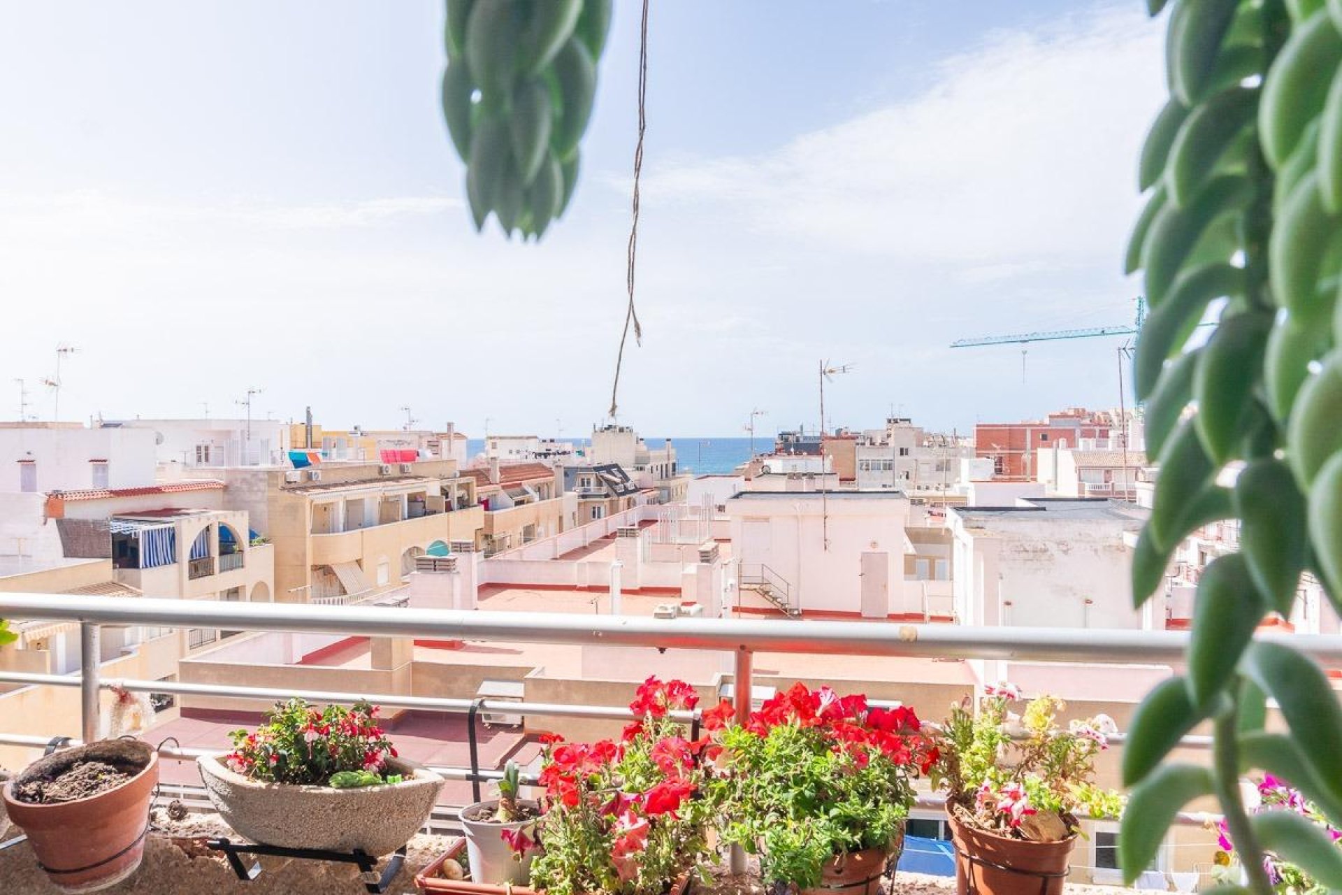 Resale - Apartment / flat - Torrevieja - Centro