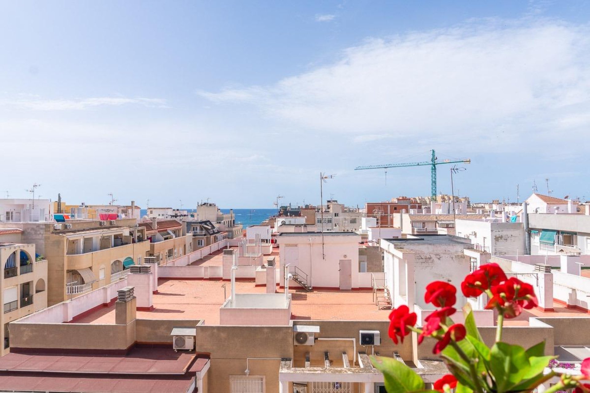 Resale - Apartment / flat - Torrevieja - Centro