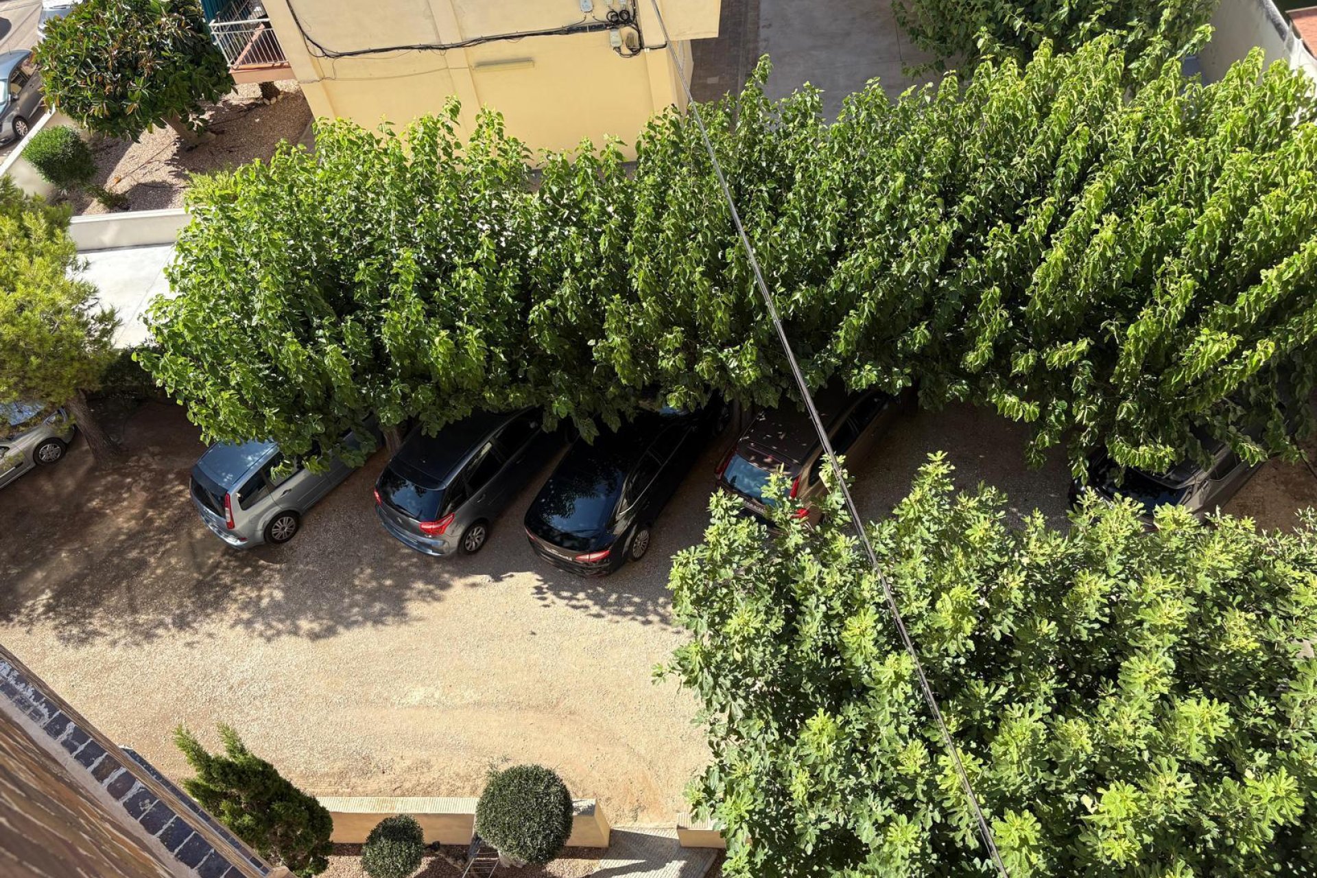 Resale - Apartment / flat - Torrevieja - La Mata