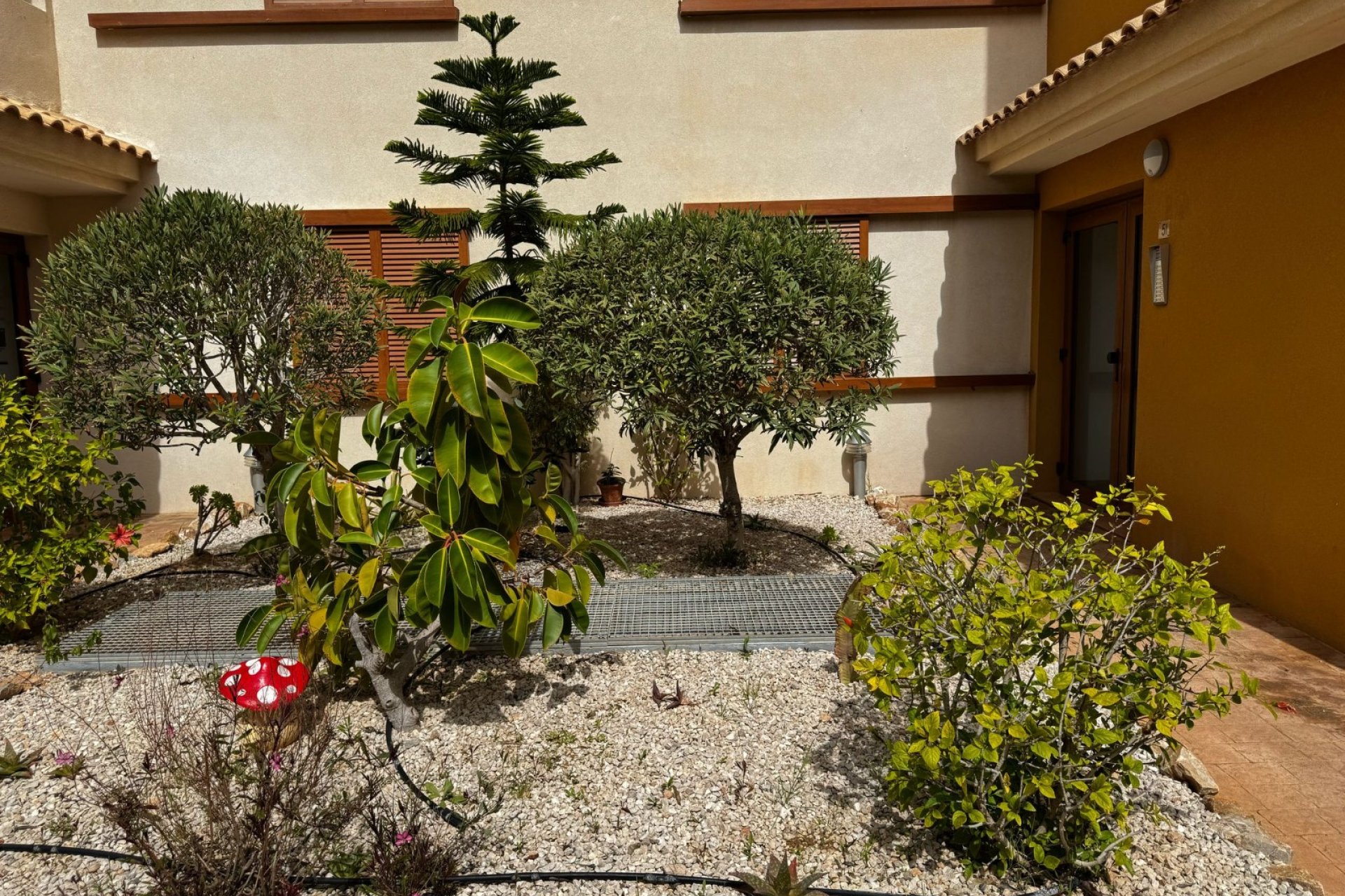 Resale - Apartment / flat - Torrevieja - Punta Prima