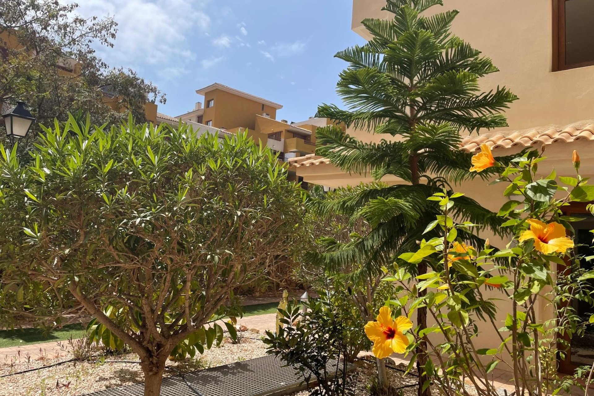 Resale - Apartment / flat - Torrevieja - Punta Prima