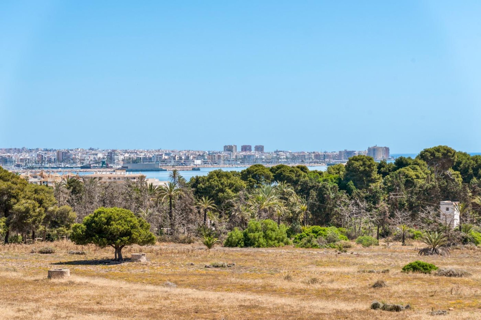 Resale - Apartment / flat - Torrevieja - Punta prima
