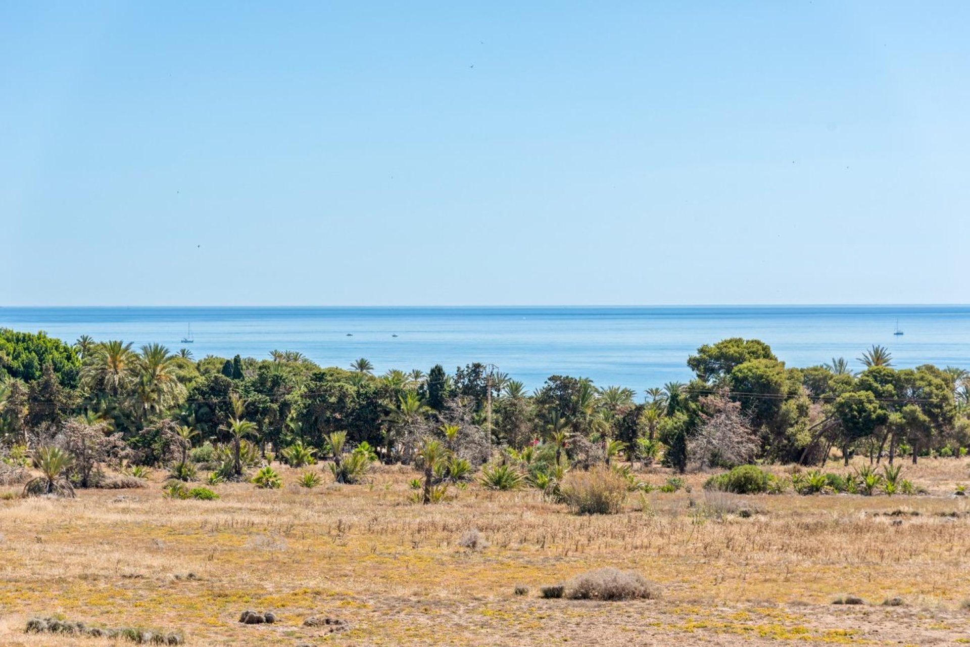 Resale - Apartment / flat - Torrevieja - Punta prima