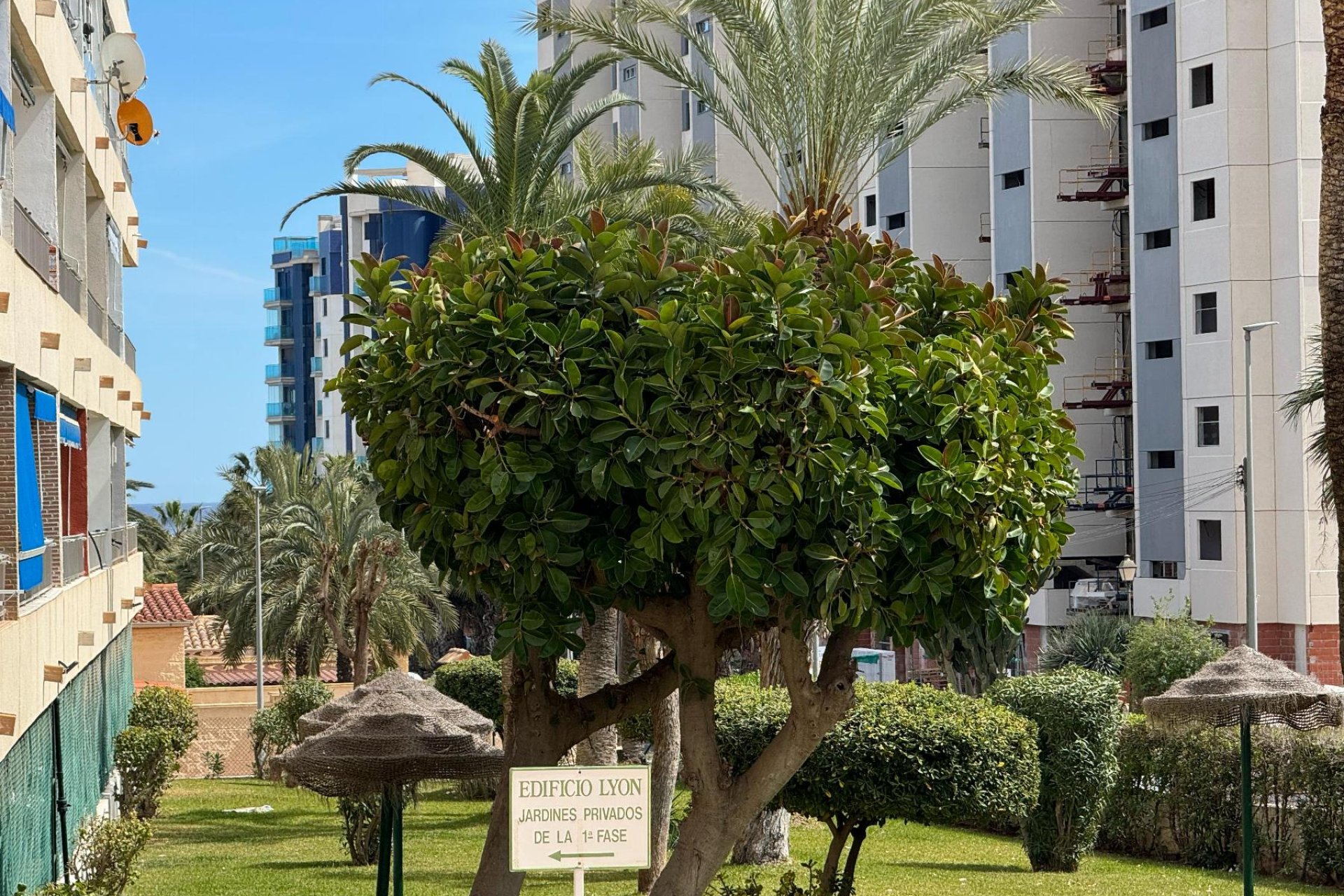 Resale - Apartment / flat - Torrevieja - Punta Prima