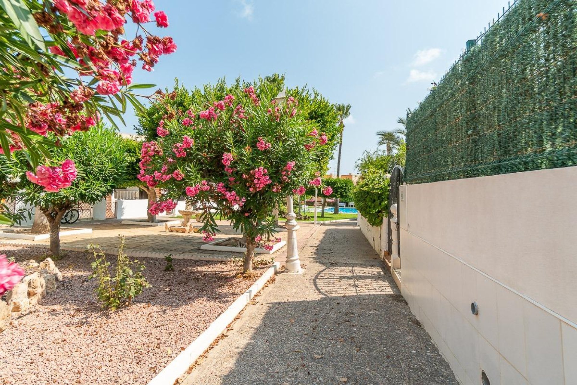 Resale - Apartment / flat - Torrevieja - Torreblanca