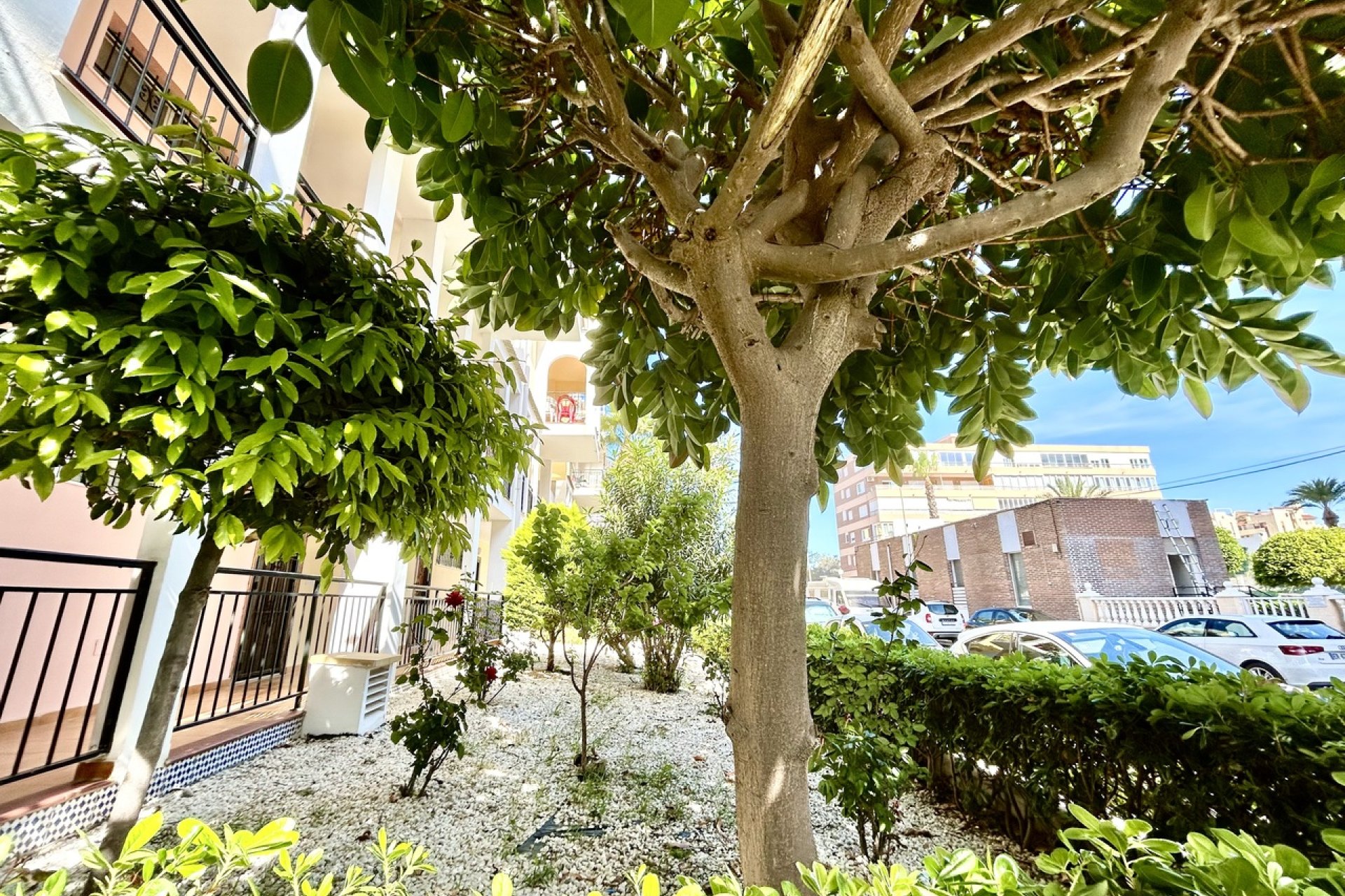 Resale - Apartment / flat - Torrevieja