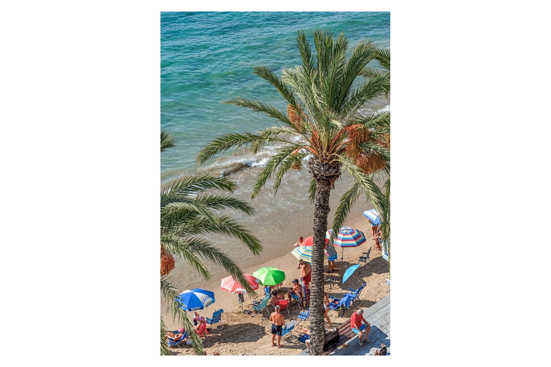 Resale - Apartment / flat - Torrevieja