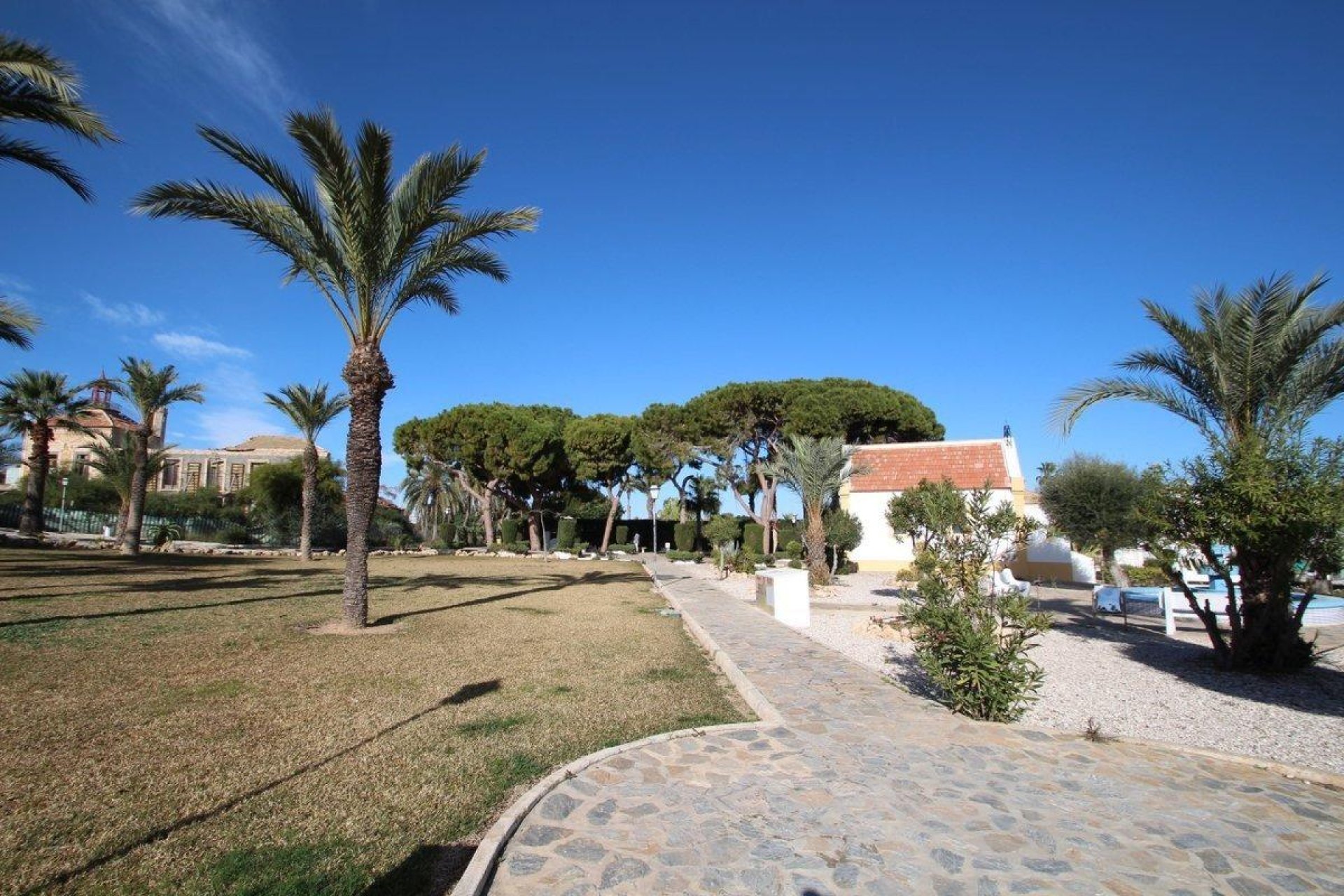 Resale - Bungalow - Torrevieja - Los Balcones - Los Altos del Edén