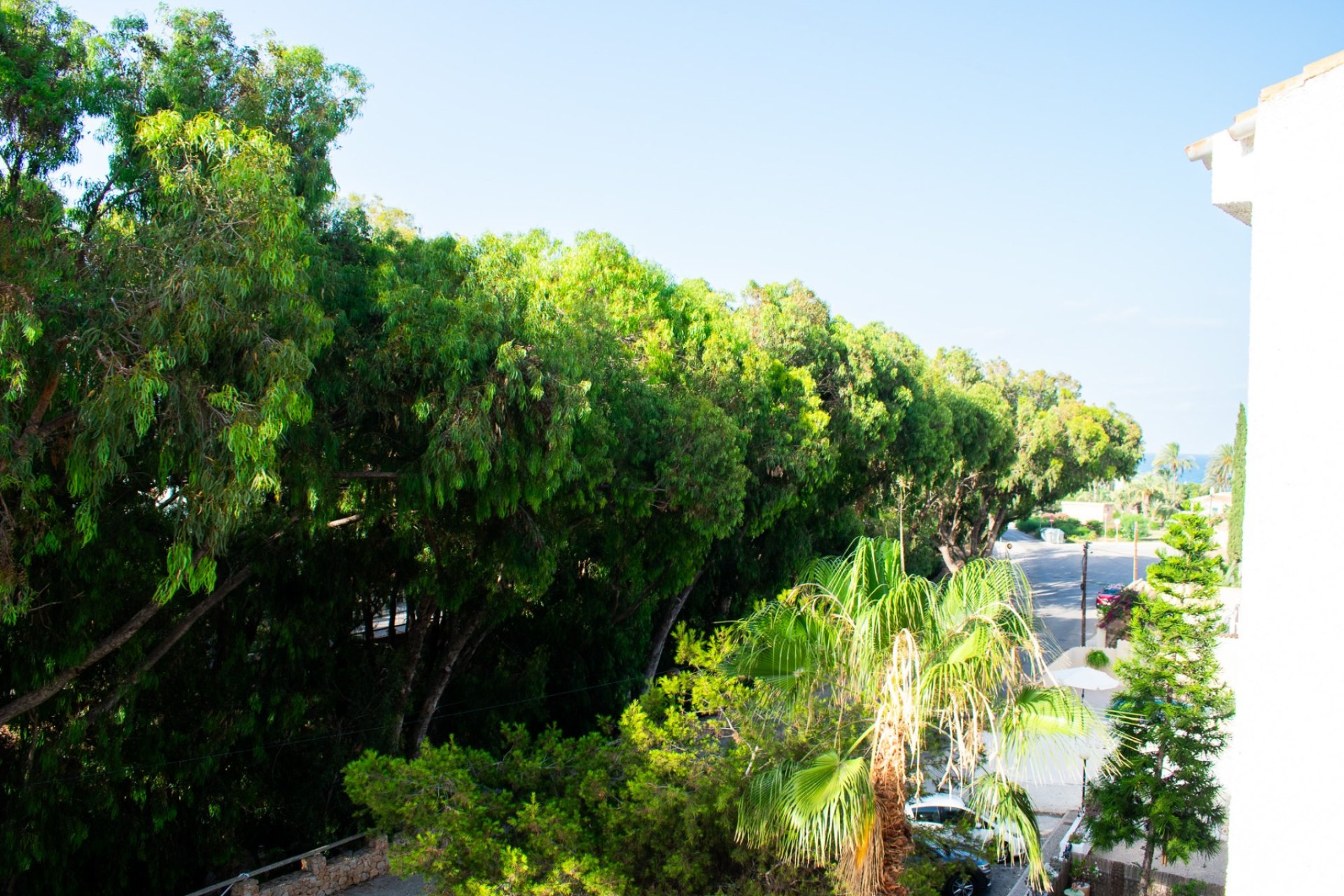 Resale - Penthouse - Orihuela Costa - Playa Flamenca Norte