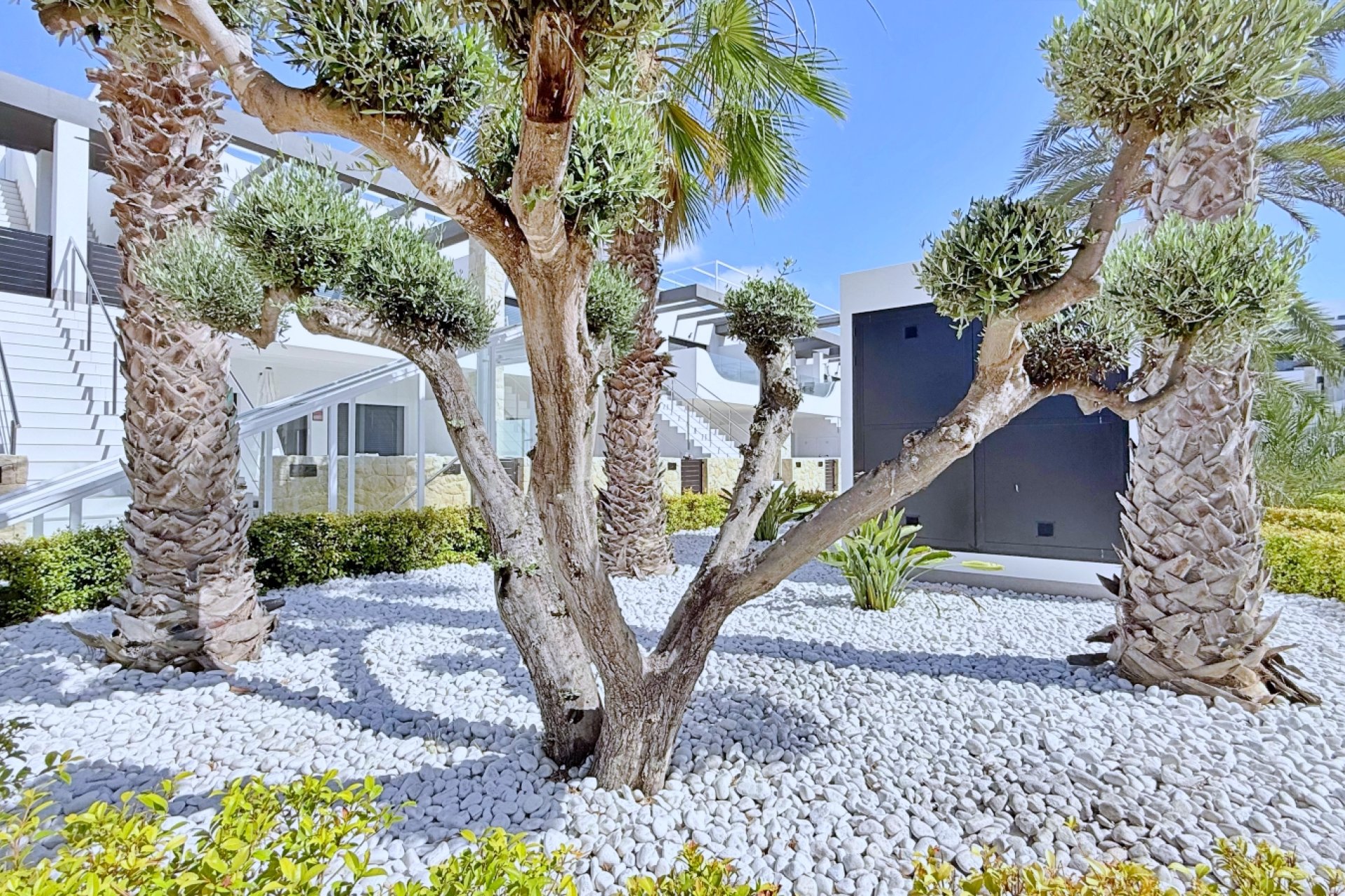 Resale - Penthouse - Orihuela Costa - Punta Prima