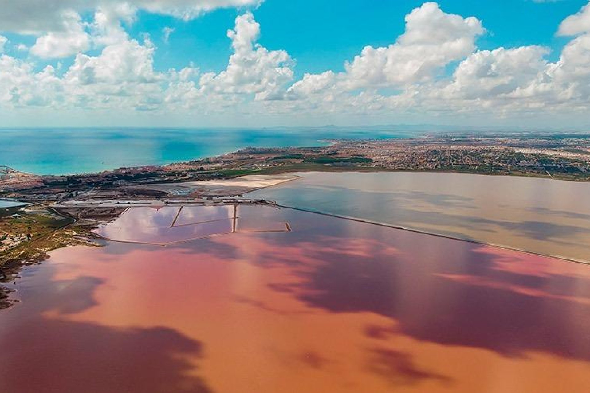 Resale - Penthouse - Torrevieja - La Mata pueblo