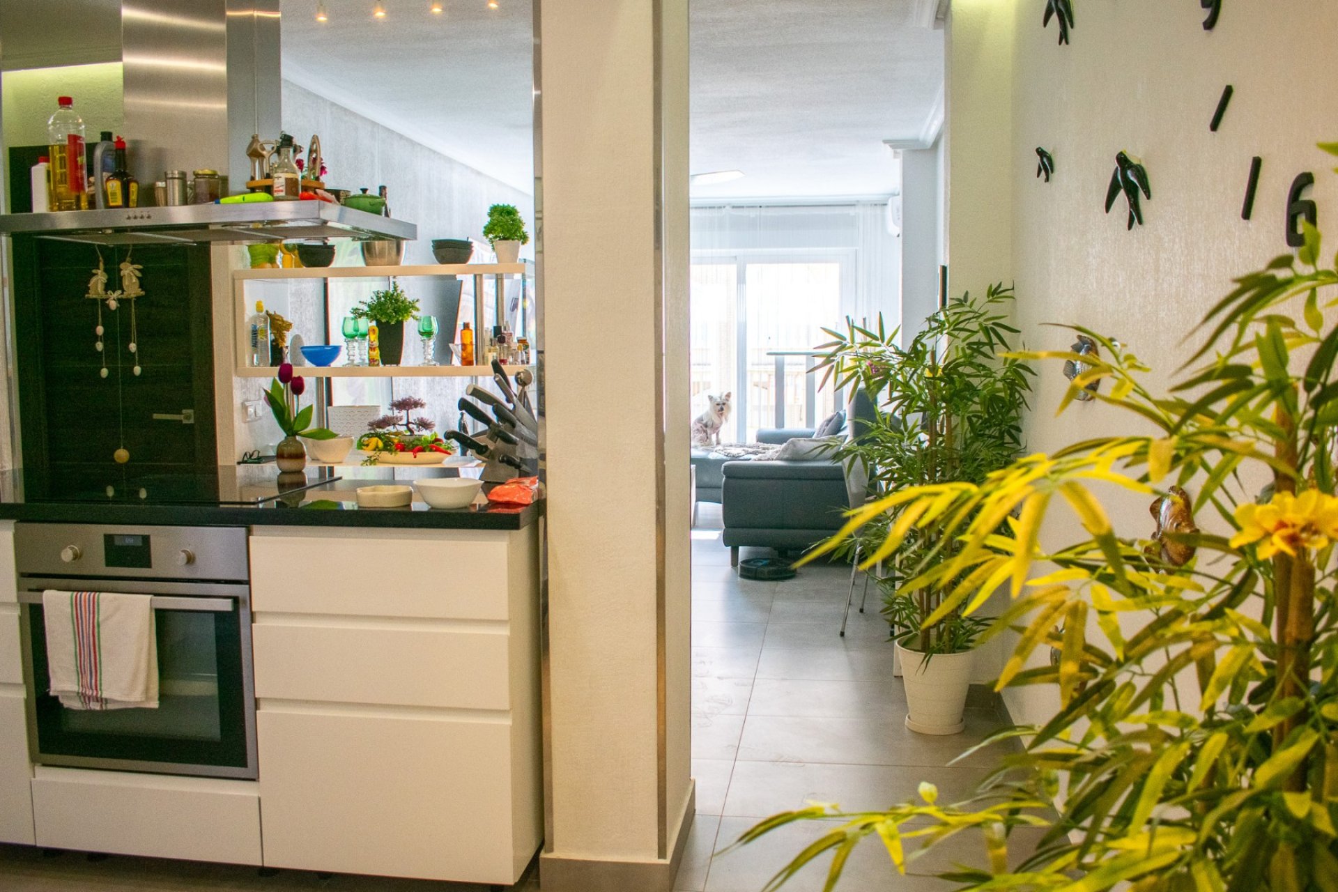 Resale - Penthouse - Torrevieja - Playa de los Locos