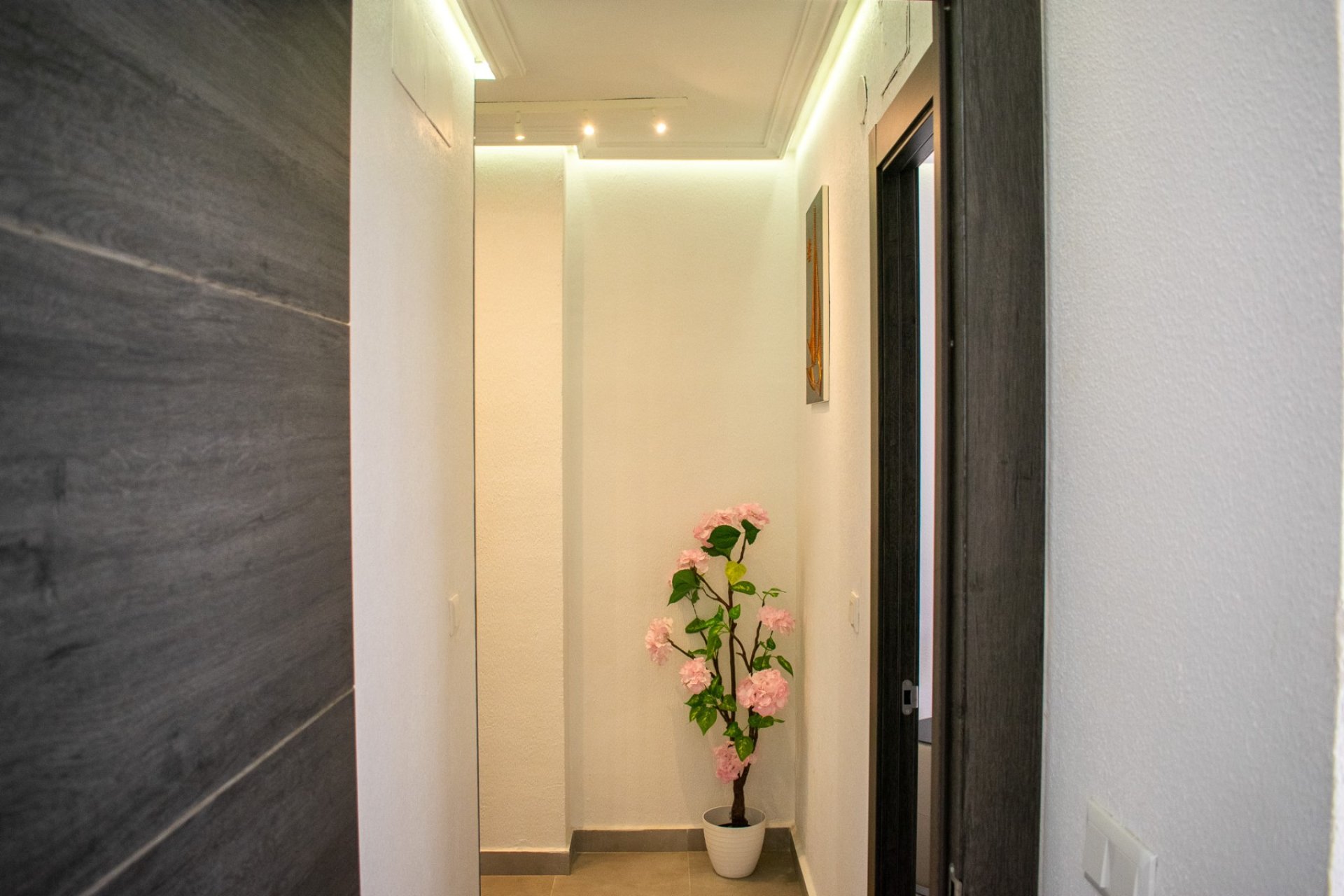 Resale - Penthouse - Torrevieja - Playa de los Locos