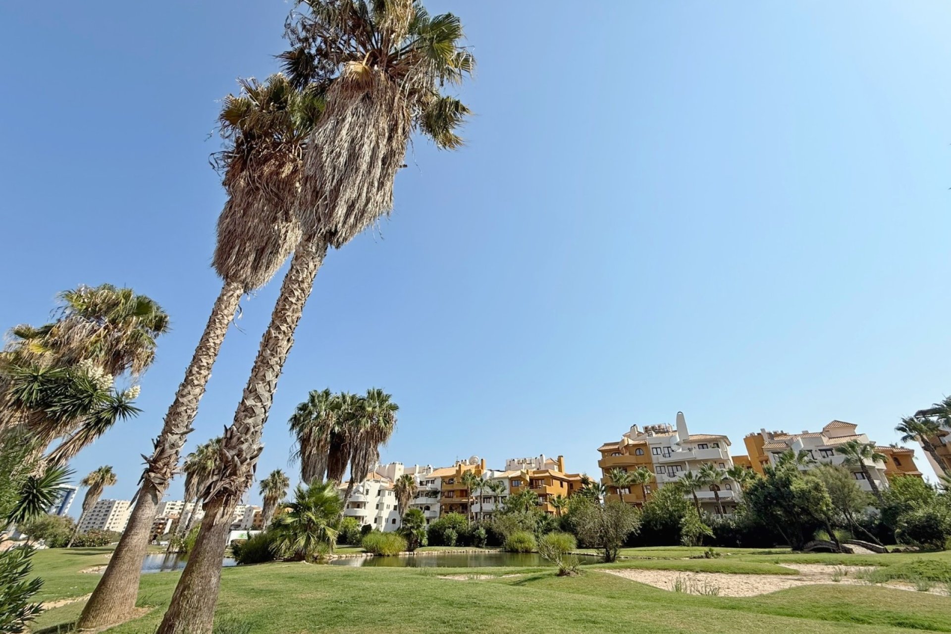 Resale - Penthouse - Torrevieja - Punta Prima
