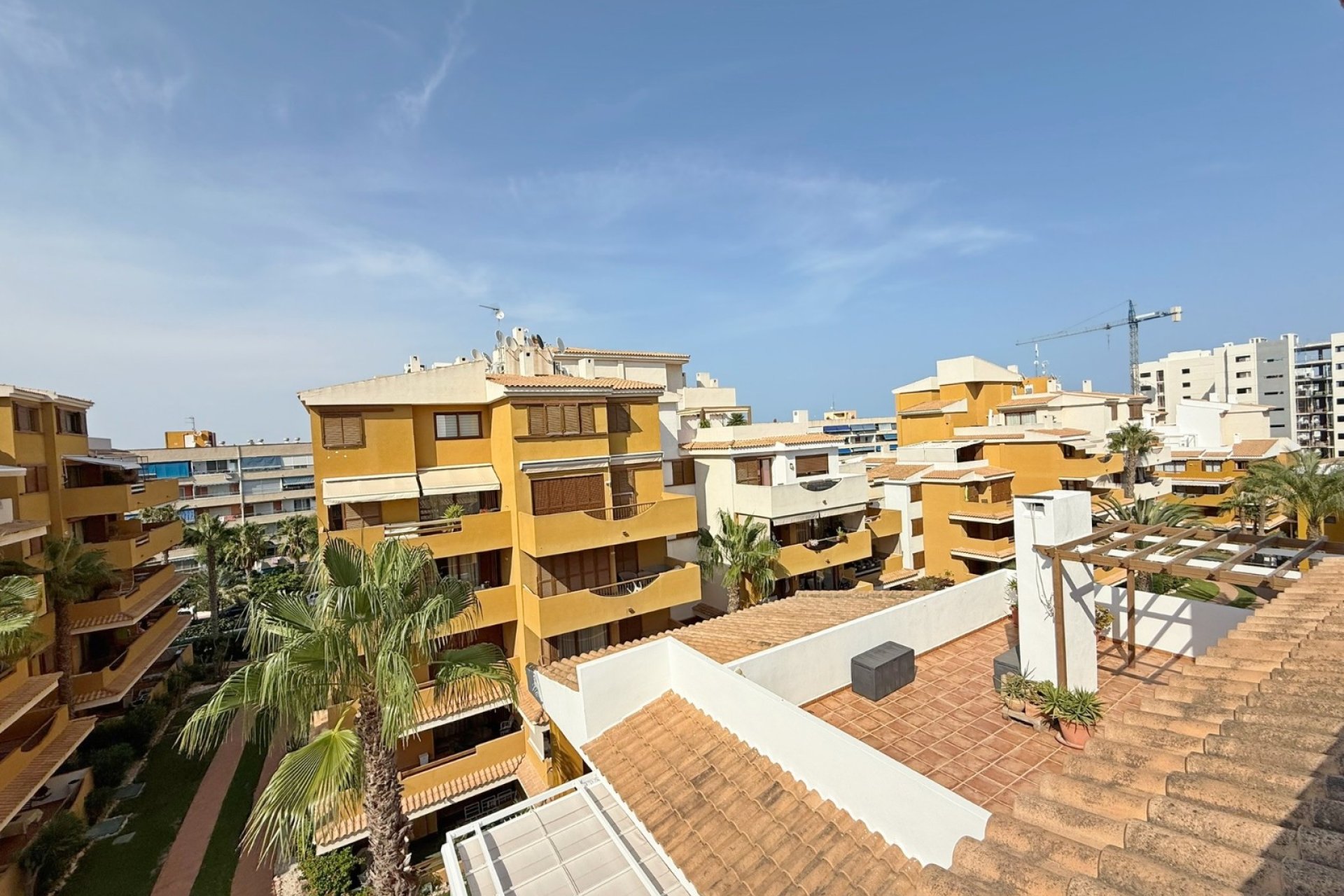 Resale - Penthouse - Torrevieja - Punta Prima