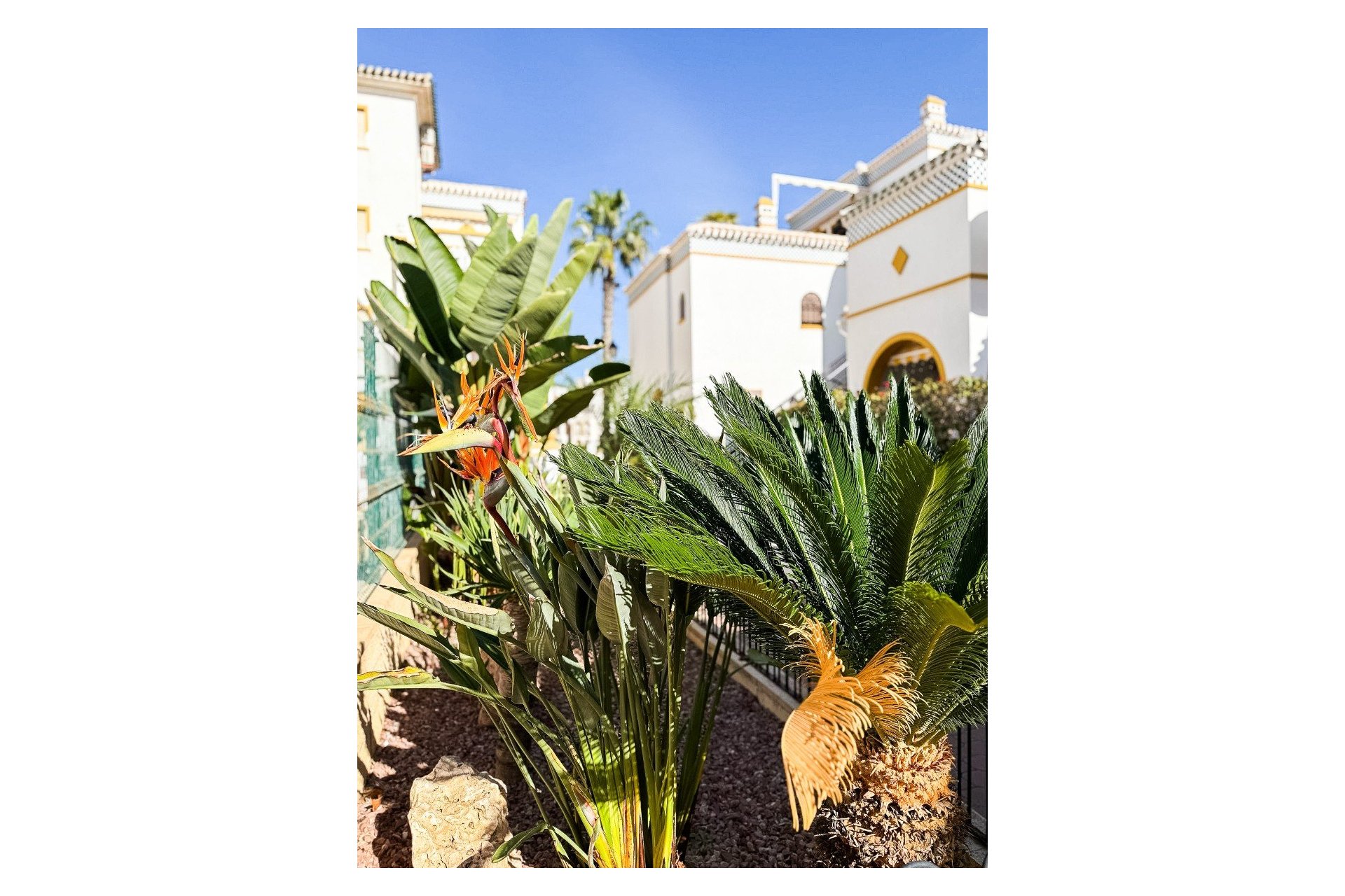 Resale - Penthouse - Torrevieja - Torrelamata - La Mata