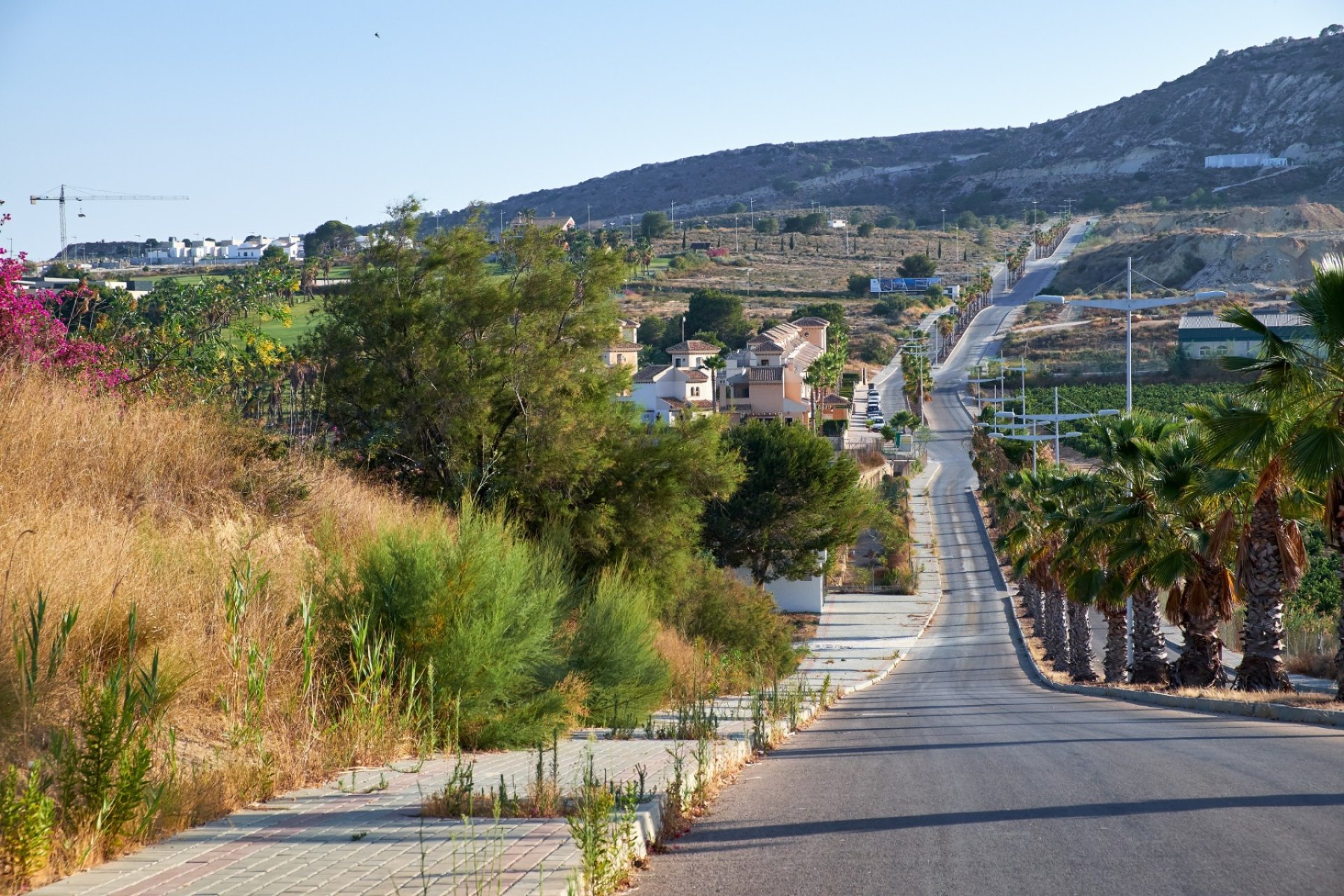 Resale - Plot / Land - Algorfa - Montemar