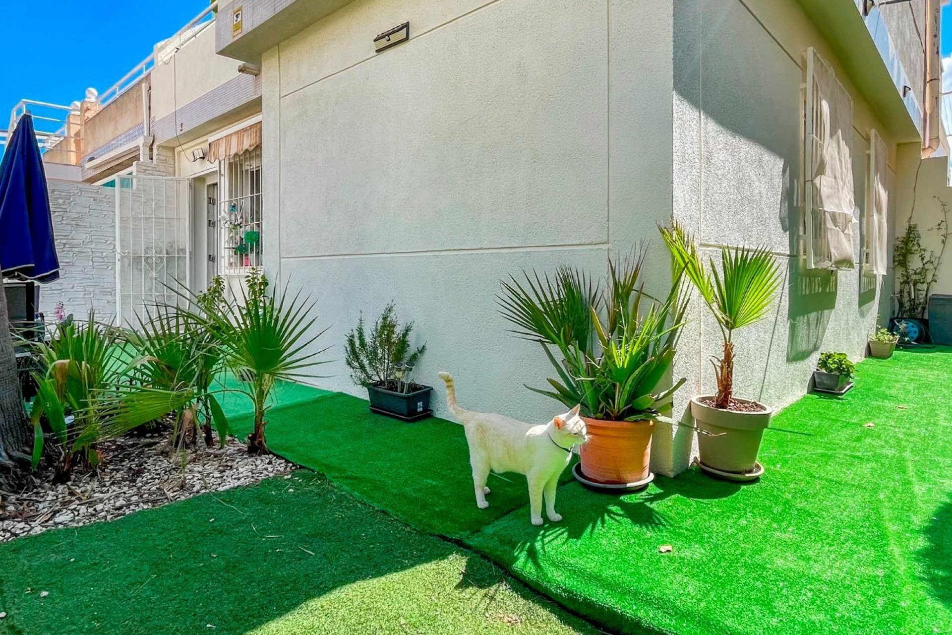 Resale - Townhouse - Orihuela Costa - Los Altos