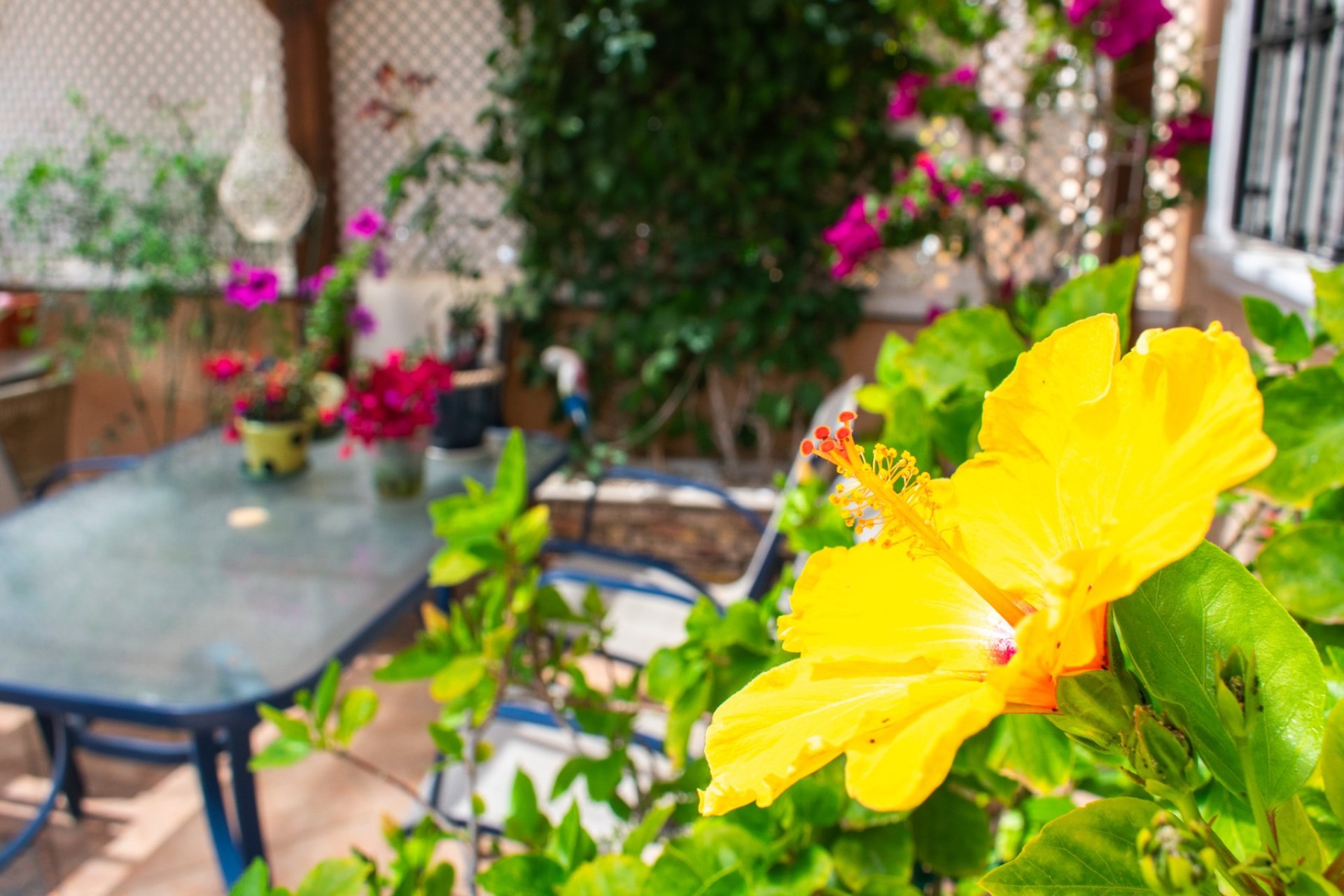 Resale - Townhouse - Orihuela Costa - Los Dolses