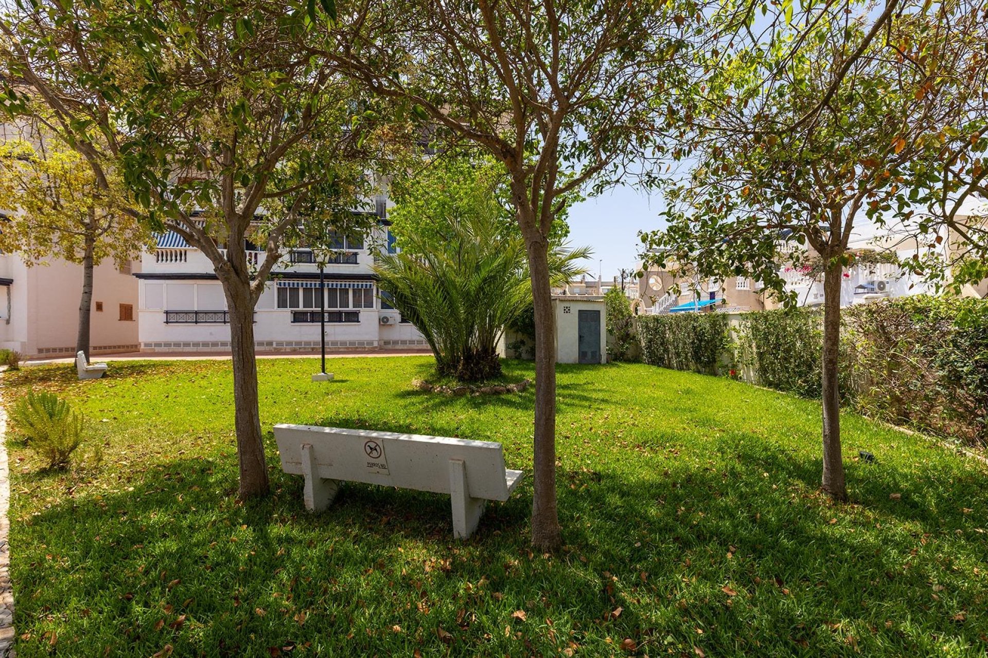 Resale - Townhouse - Torrevieja - La Mata