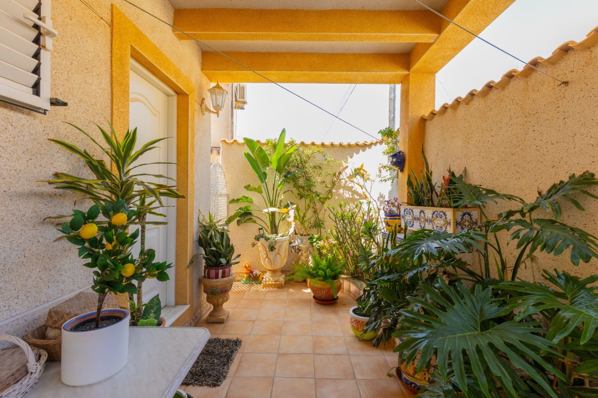 Resale - Townhouse - Torrevieja - Zona los Frutales