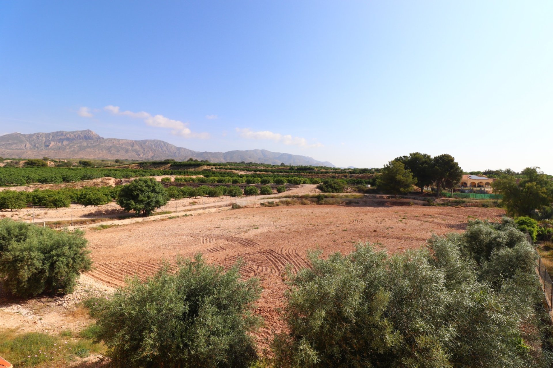 Resale - Villa - Albatera - Albatera - Country