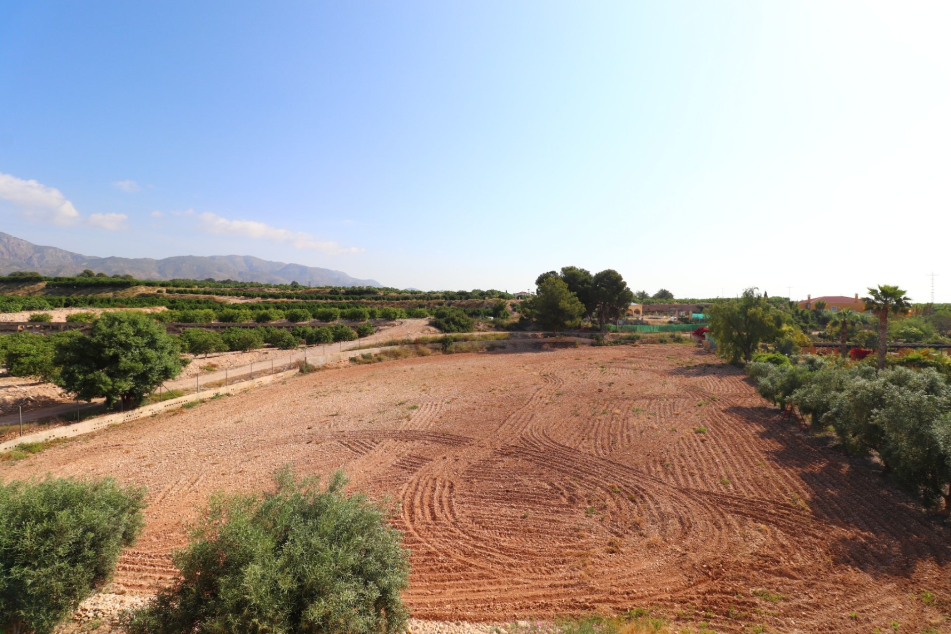 Resale - Villa - Albatera - Albatera - Country
