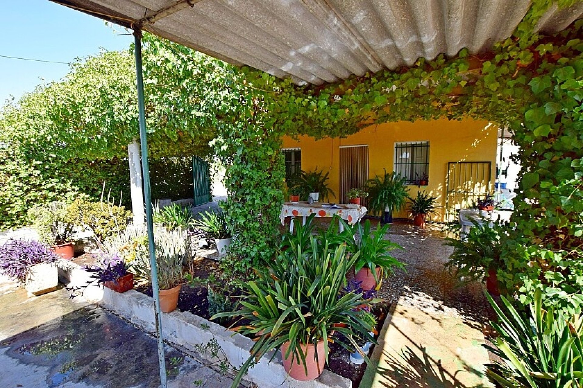 Resale - Villa - Albatera