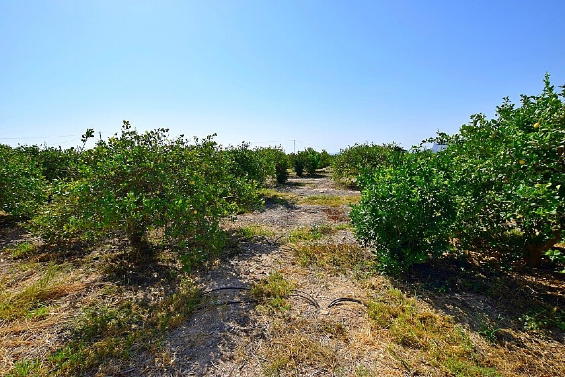 Resale - Villa - Albatera