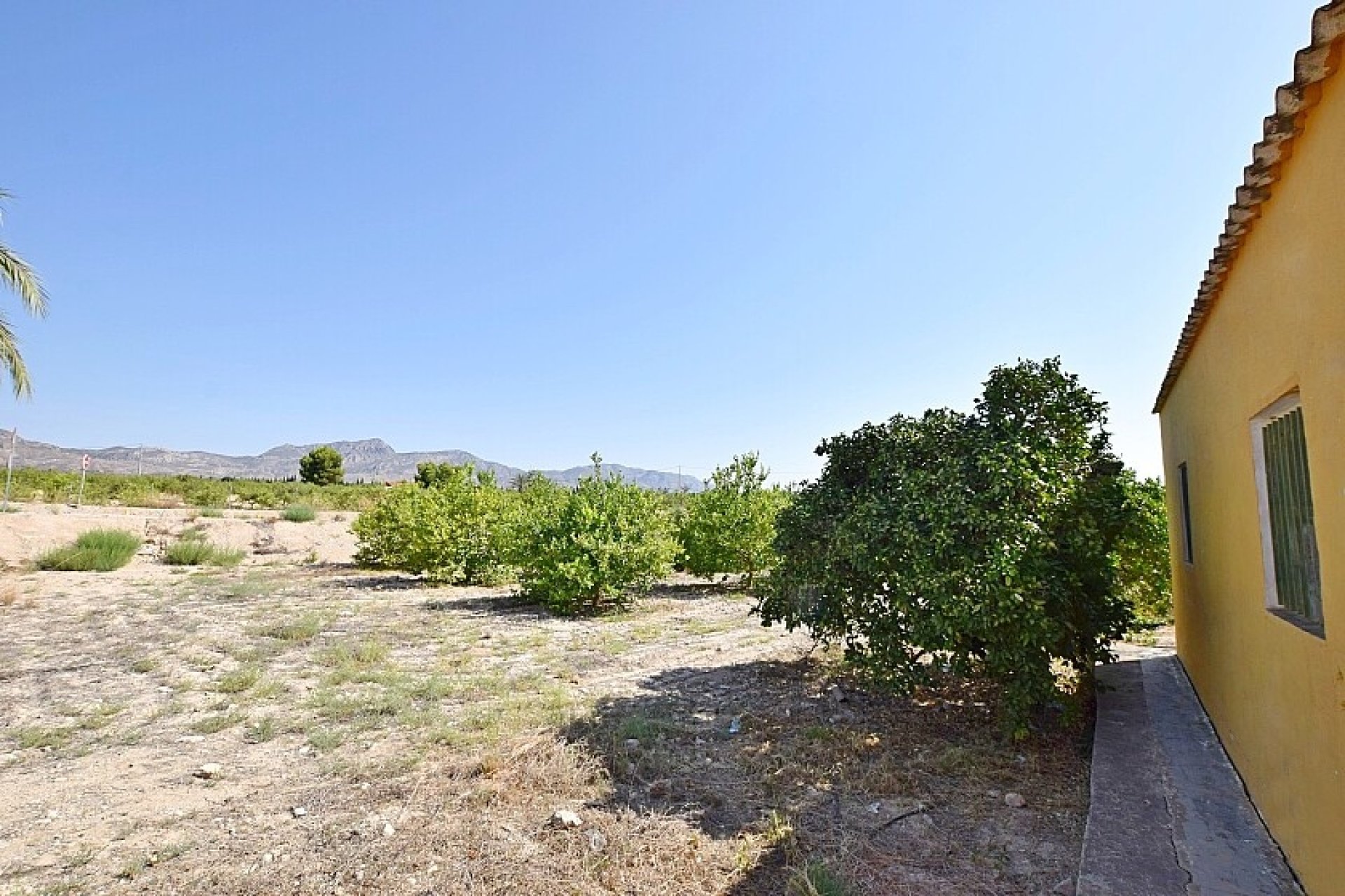 Resale - Villa - Albatera