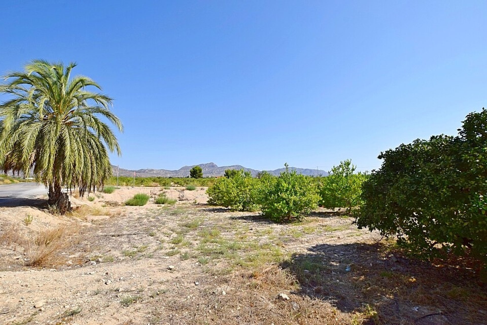 Resale - Villa - Albatera