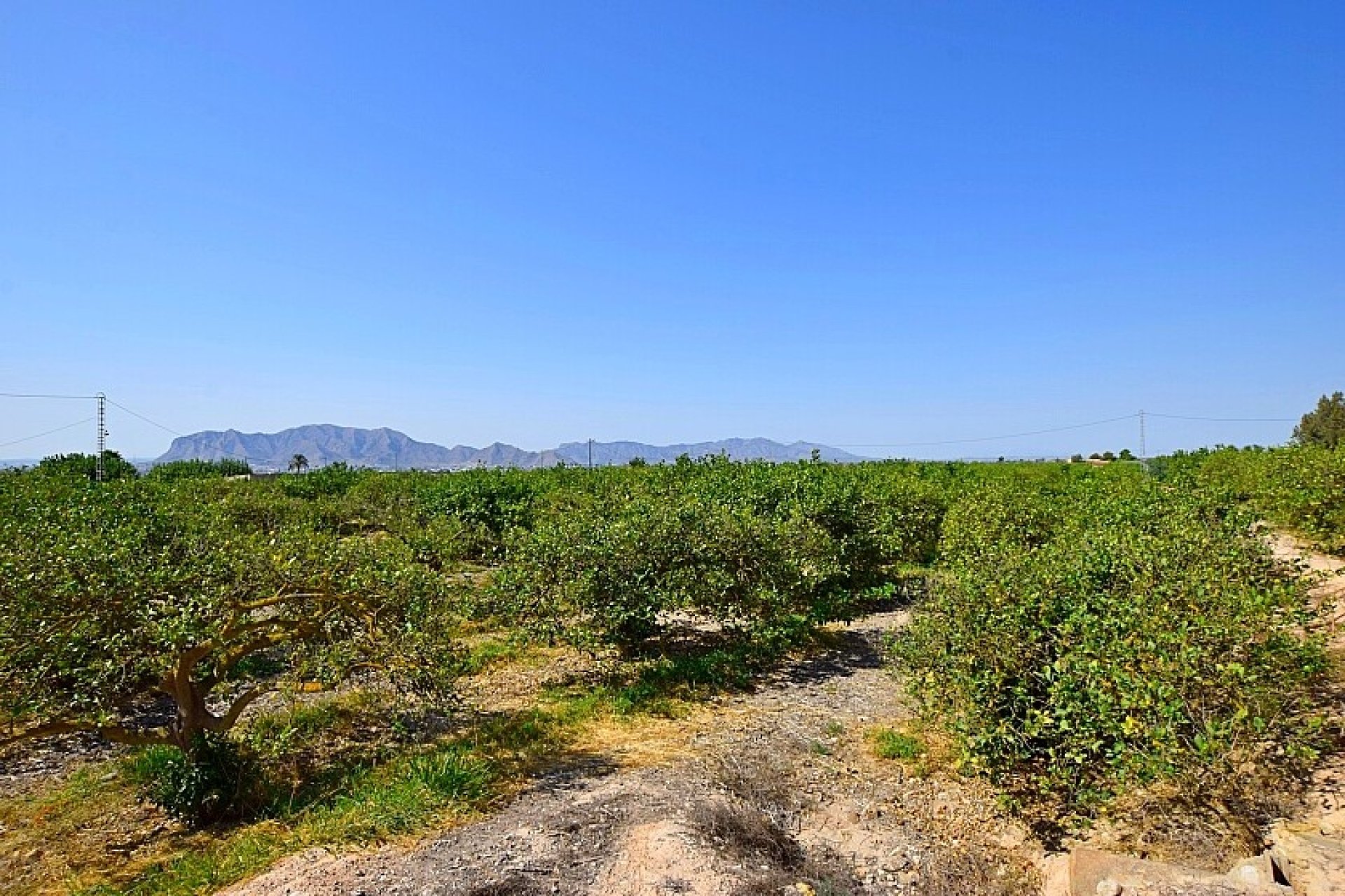 Resale - Villa - Albatera