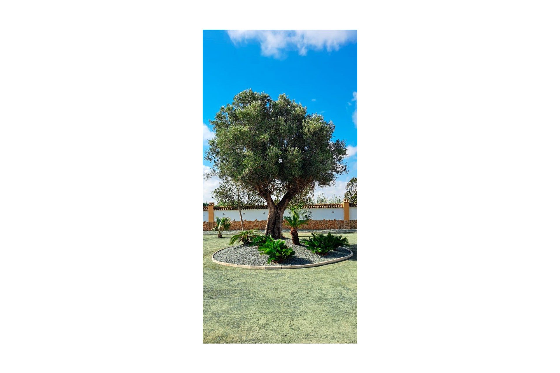 Resale - Villa - Catral - Catral - Country