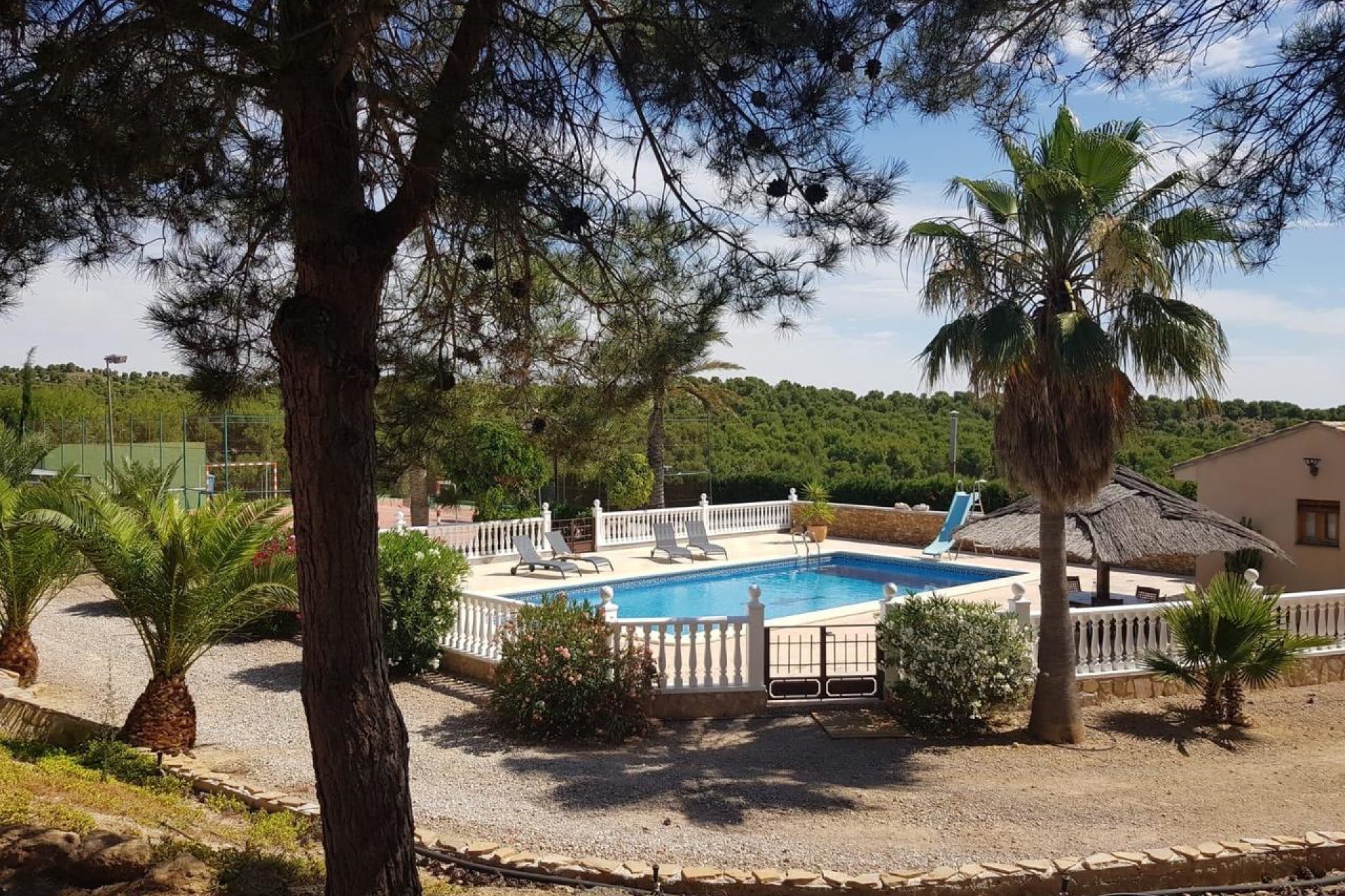 Resale - Villa - El Esparragal