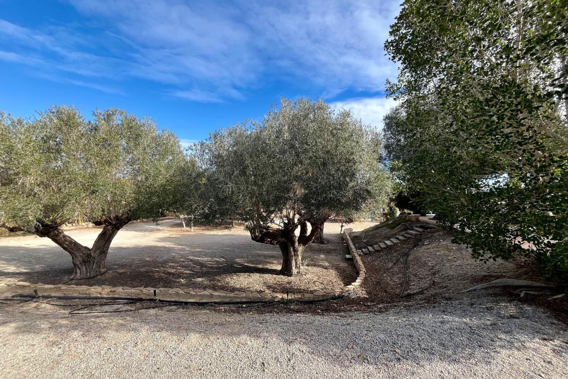 Resale - Villa - El Esparragal