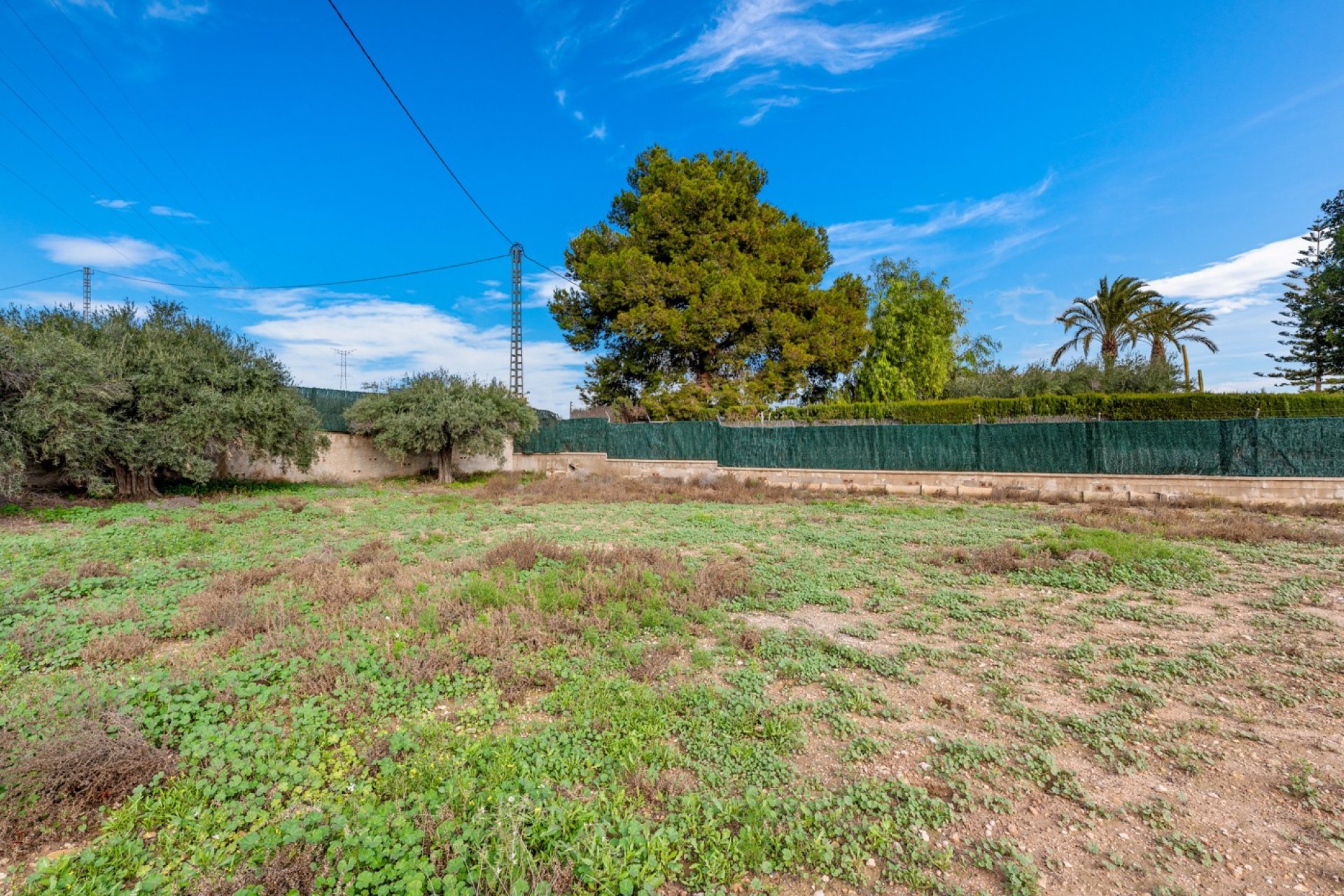 Resale - Villa - Elche - Elche/Elx