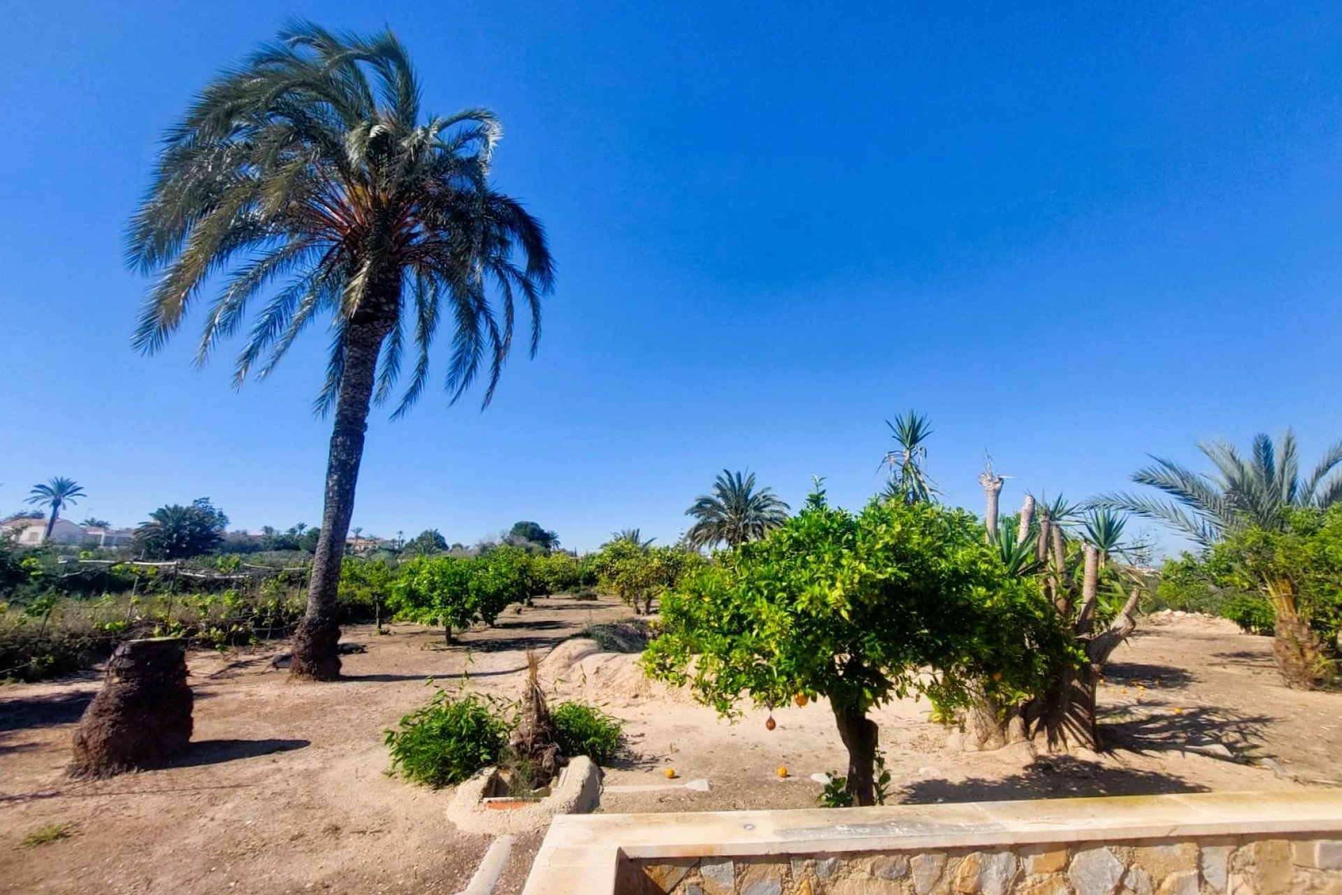 Resale - Villa - La Marina