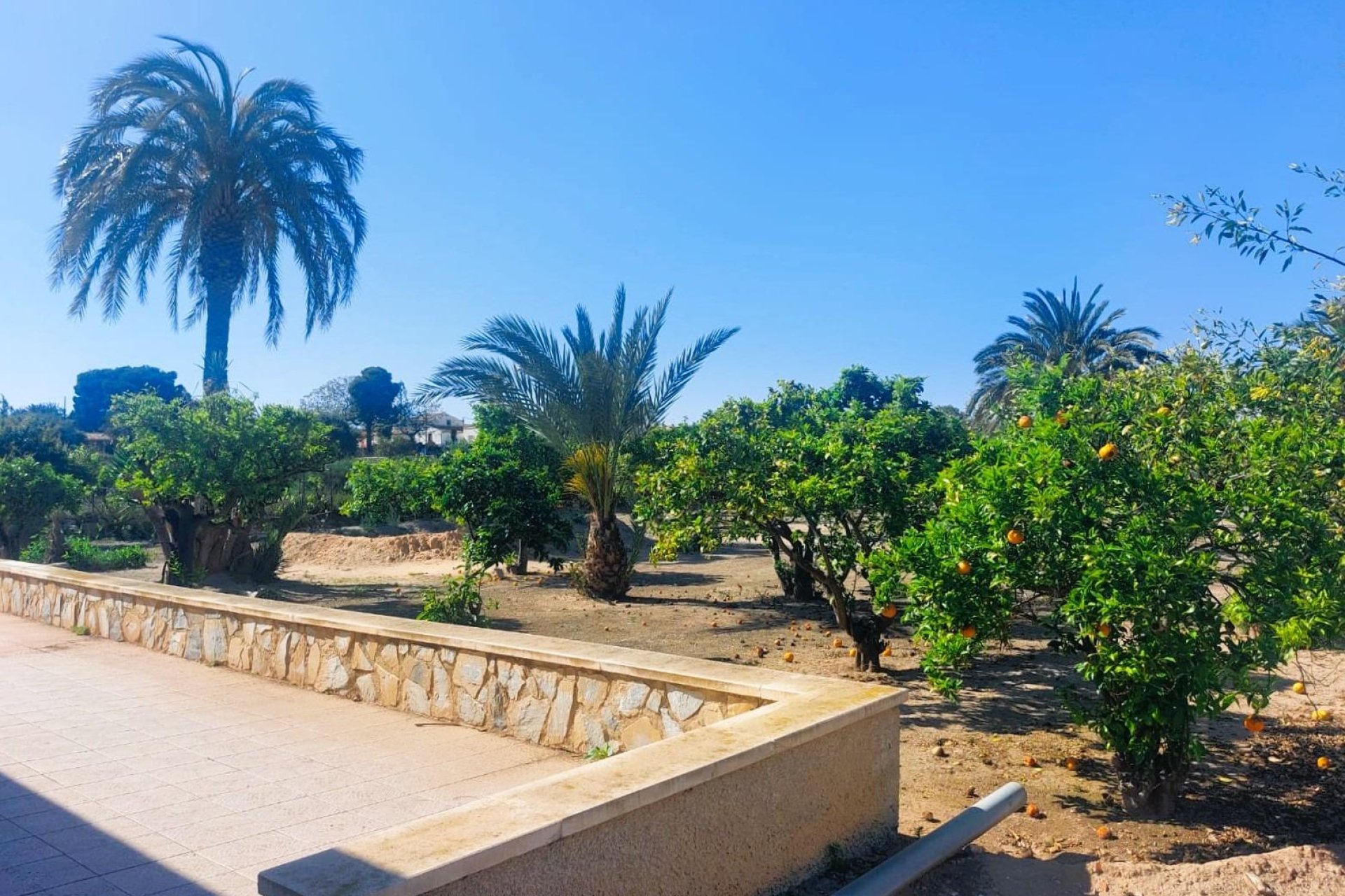 Resale - Villa - La Marina